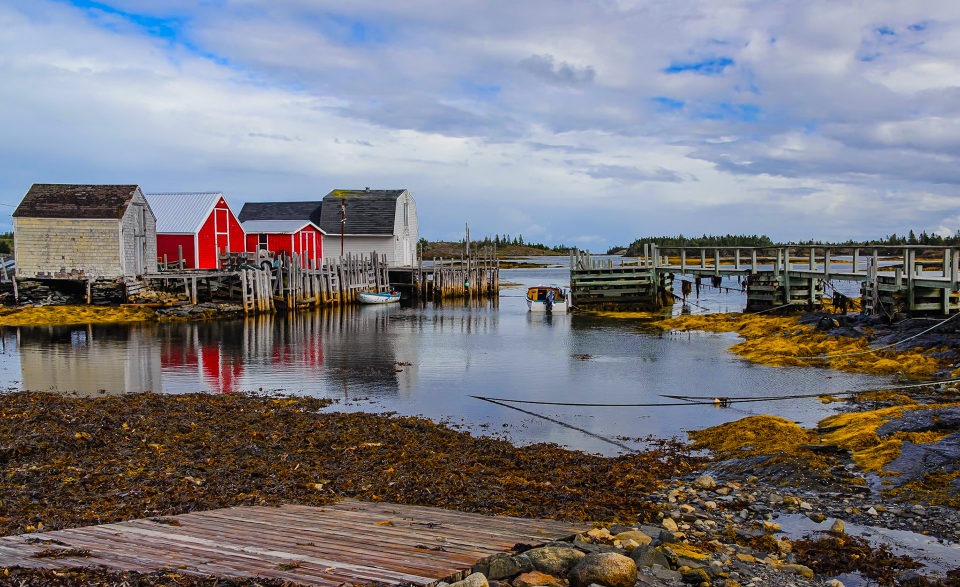 DTGD39233-Blue Rocks, tide is out