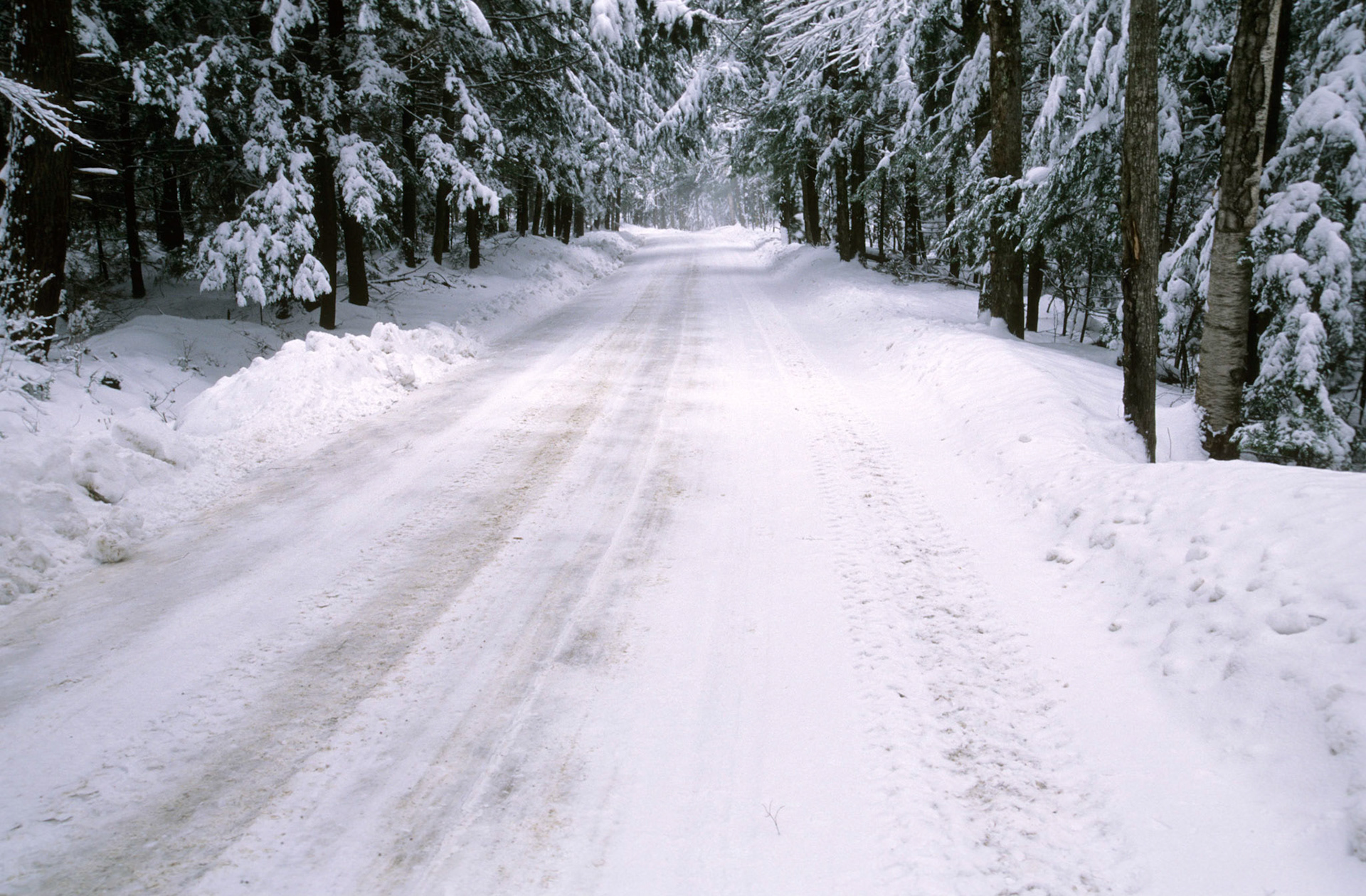 DTG04630 Winter, Great Hill Road