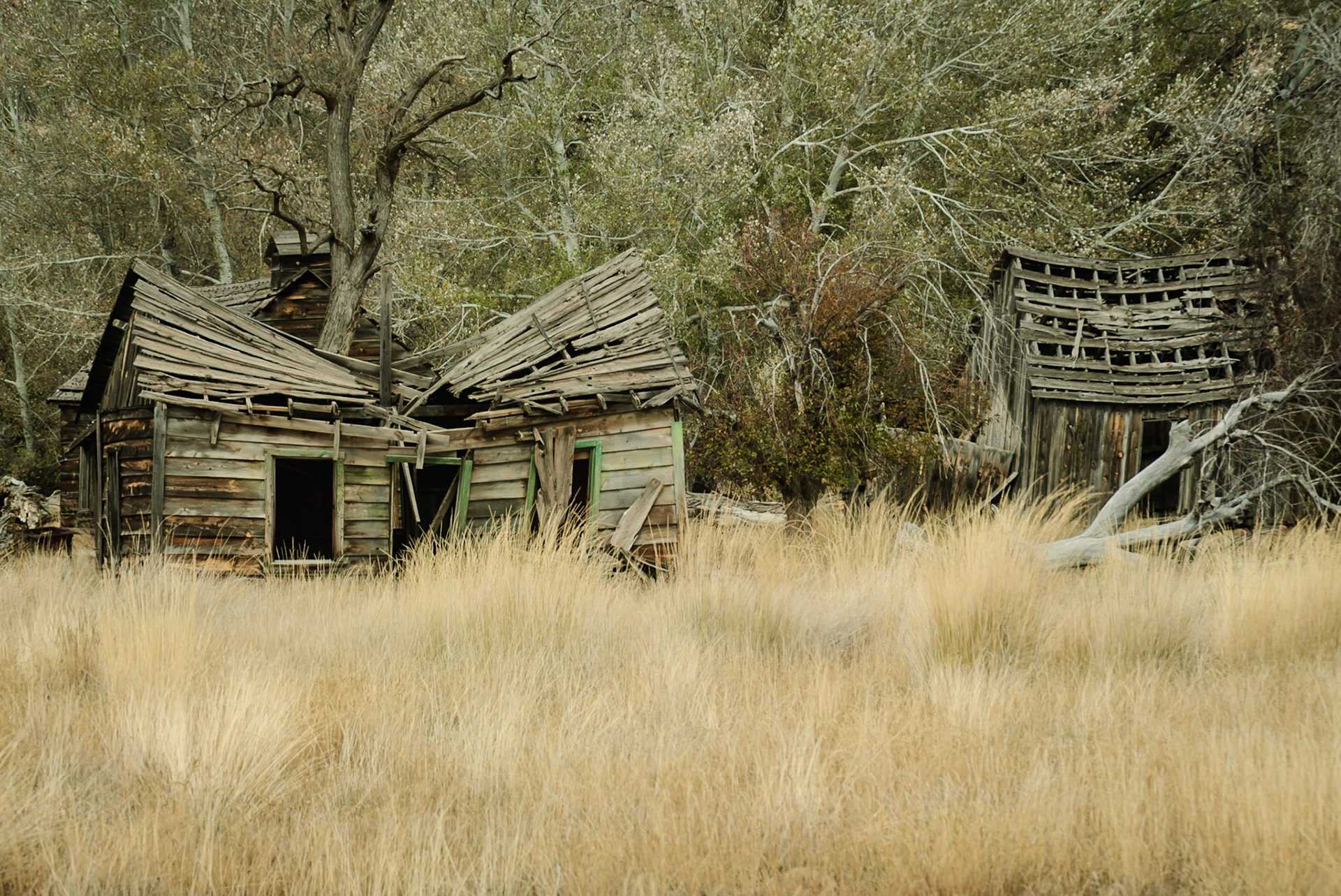 DTGD11216 Johnson Canyon, Gunsmoke Movie Set