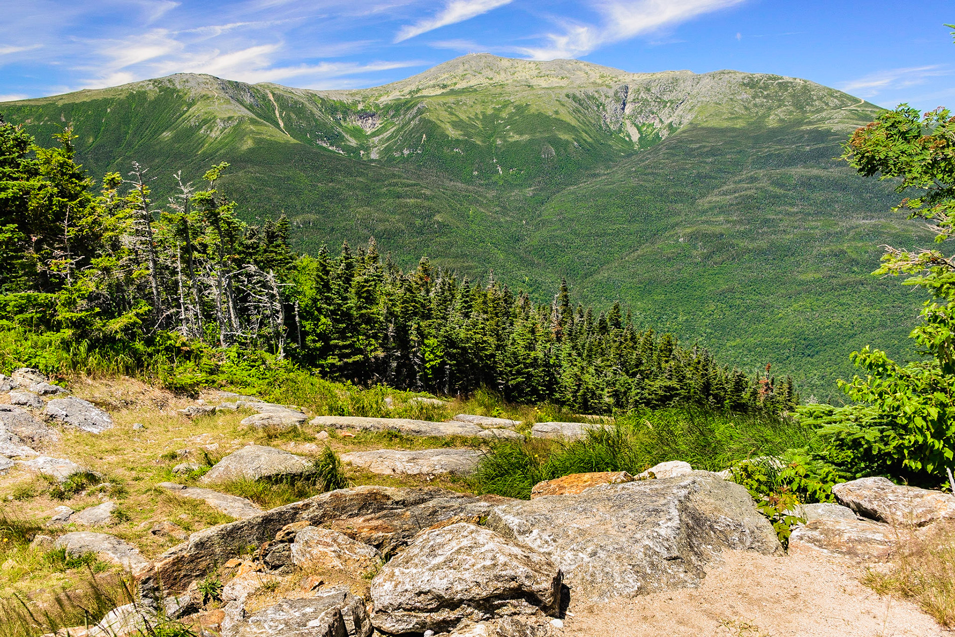 DTGD26792 Looking at Mt. Washington from Wildcat