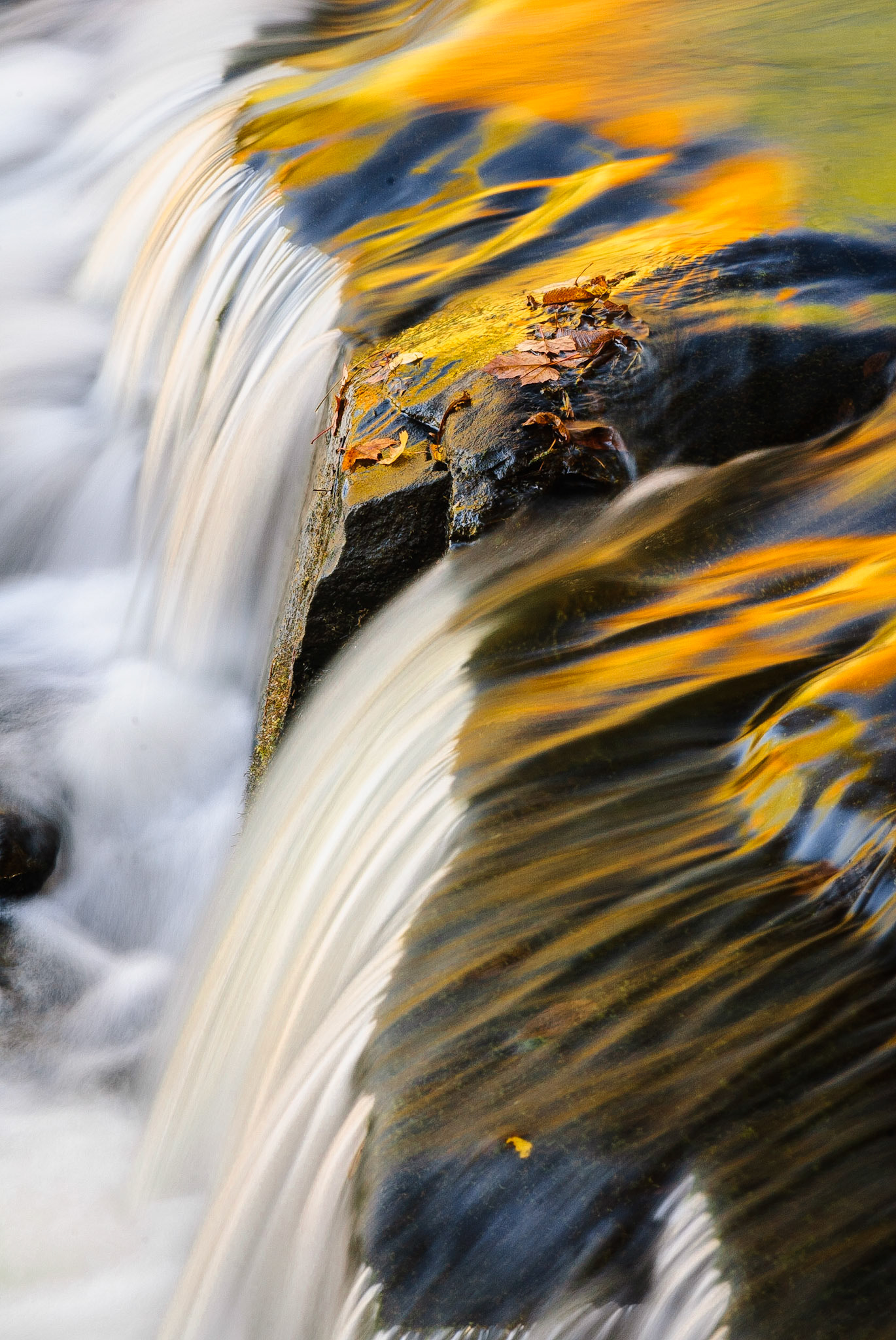 DTGD12695 Bond Falls, Paulding, MI