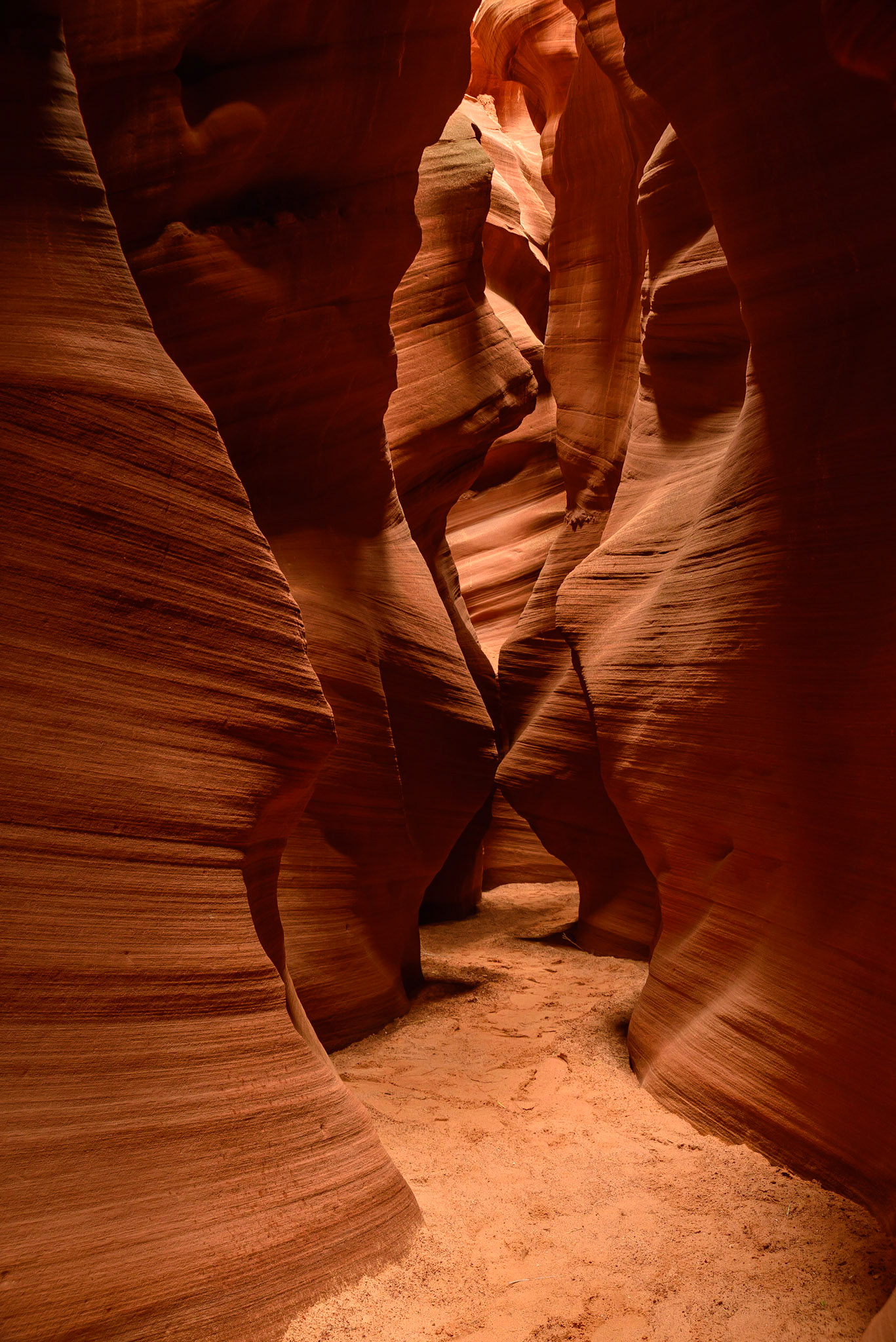 DTGD22654 Secret Canyon