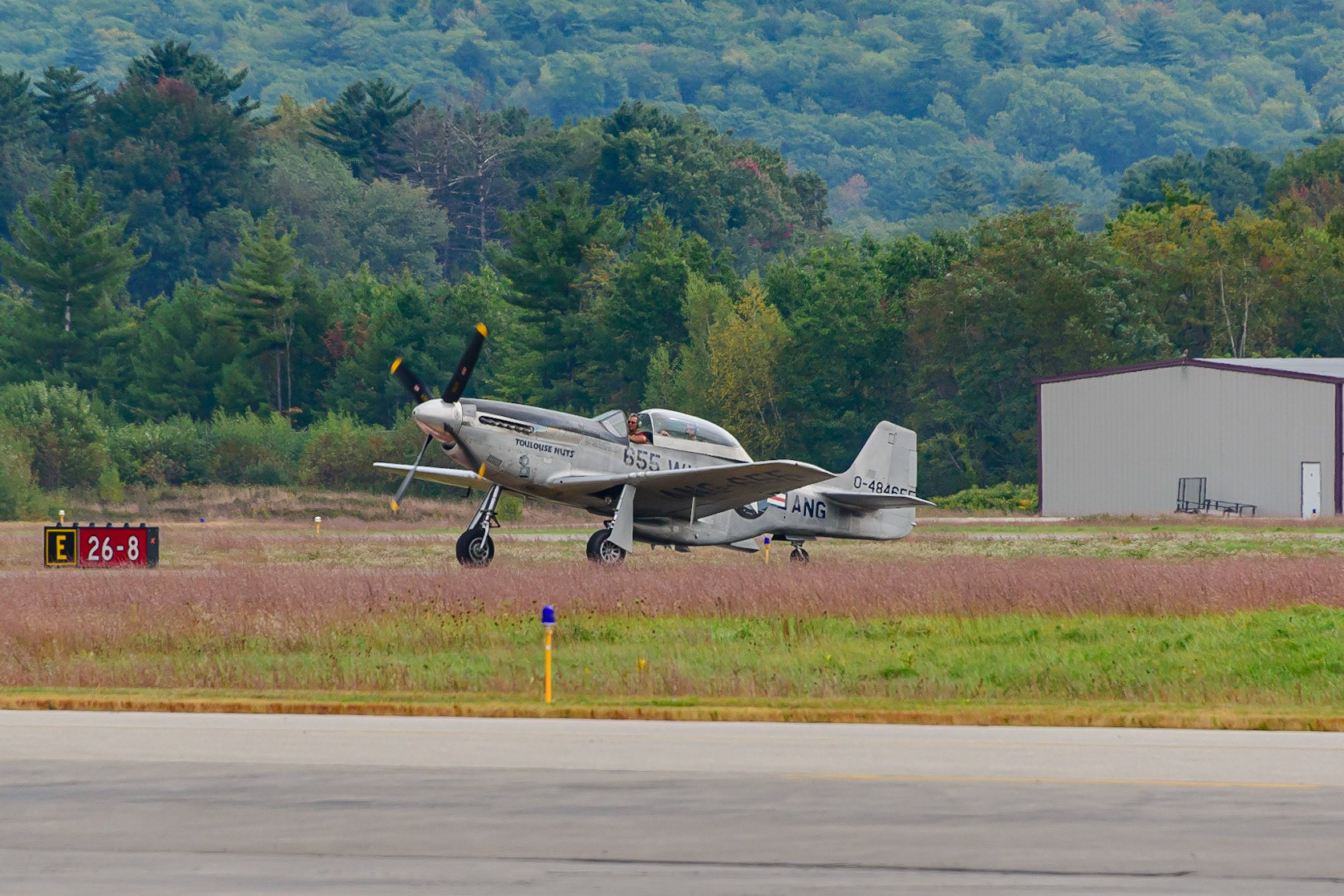 DTGD31494 Wings of Freedom, TP-51D