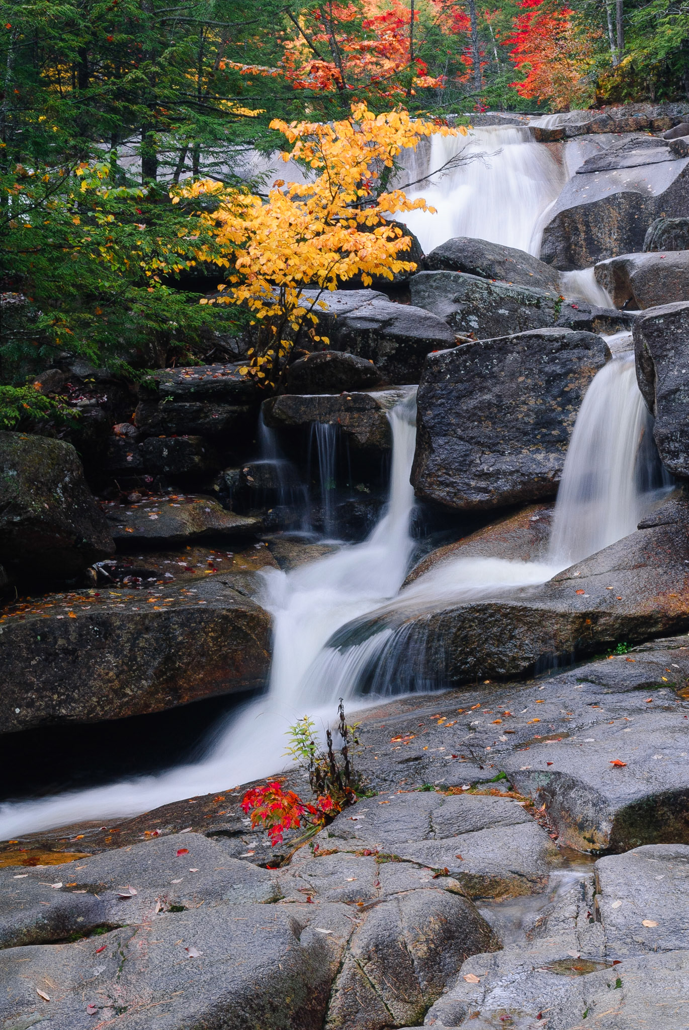DTGD01672 Diana's Baths, Fall