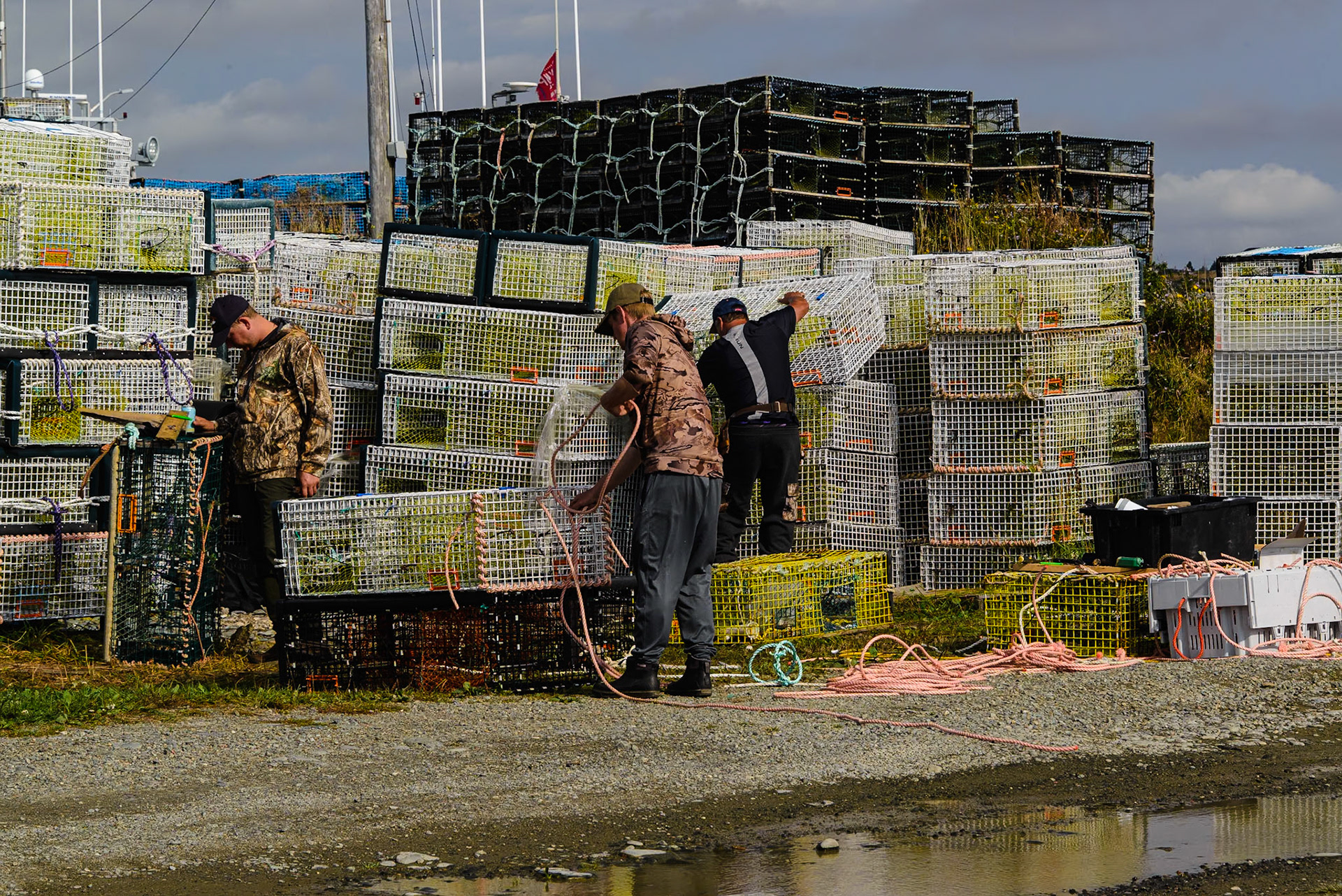 DTGD39027-Prepping new Lobster traps for coming season