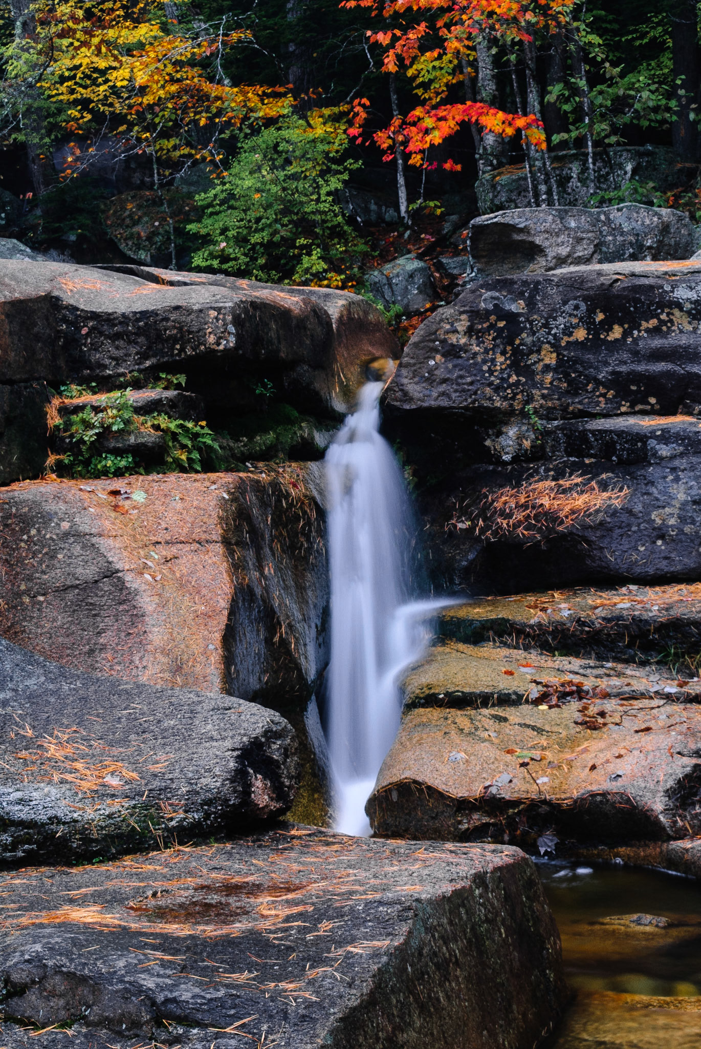 DTGD00655 Diana's Baths