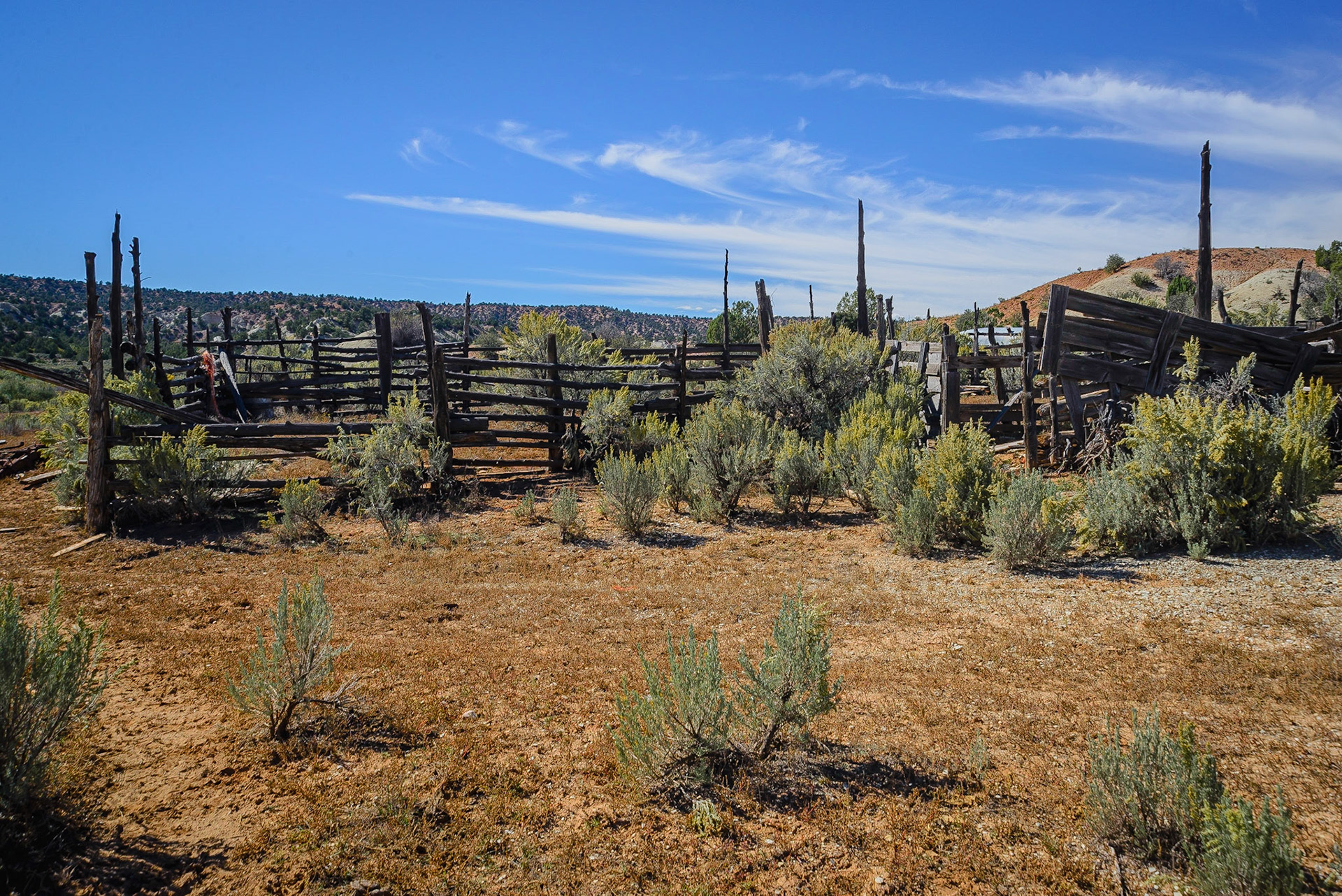 DTGD22054 Old coral near Kodachrome Basin State Park