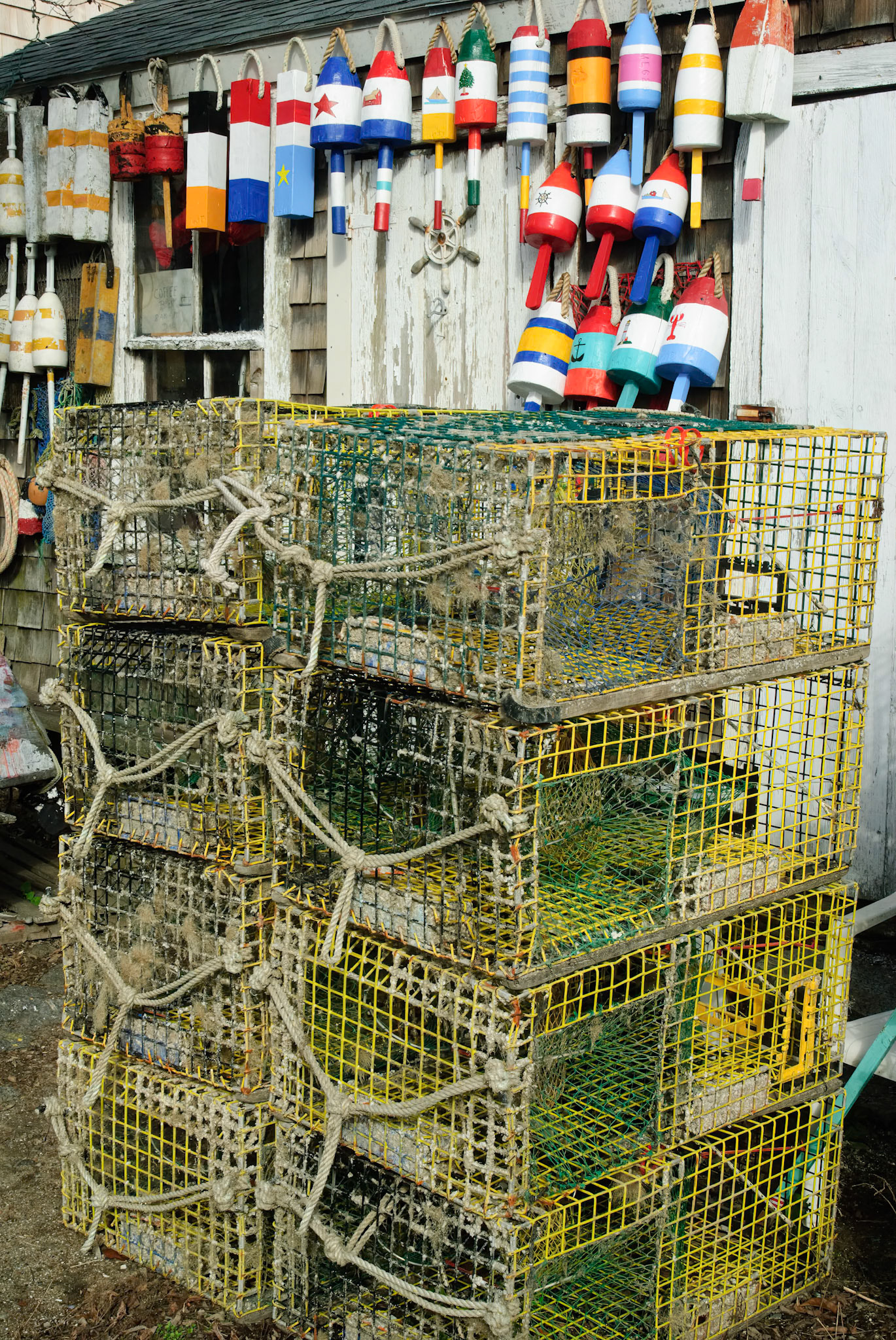 DTGD00904 Lobster Buoys