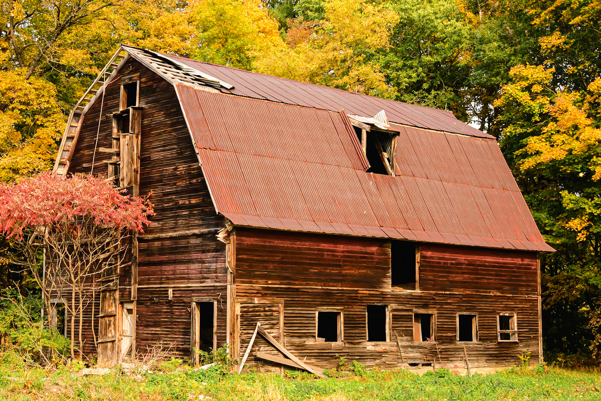 DTGD3354 Vermont Farm Buildings