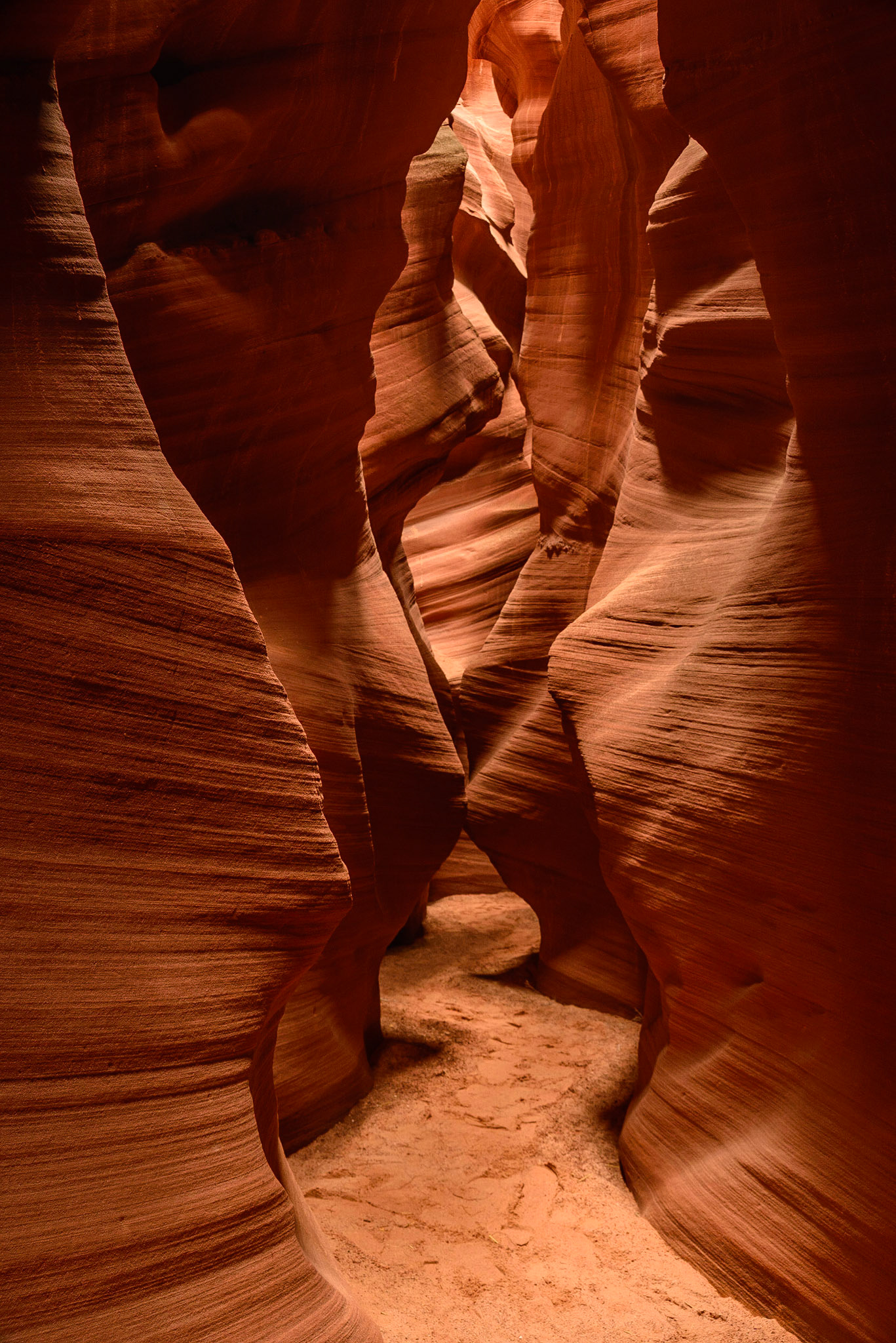 DTGD22650 Secret Canyon