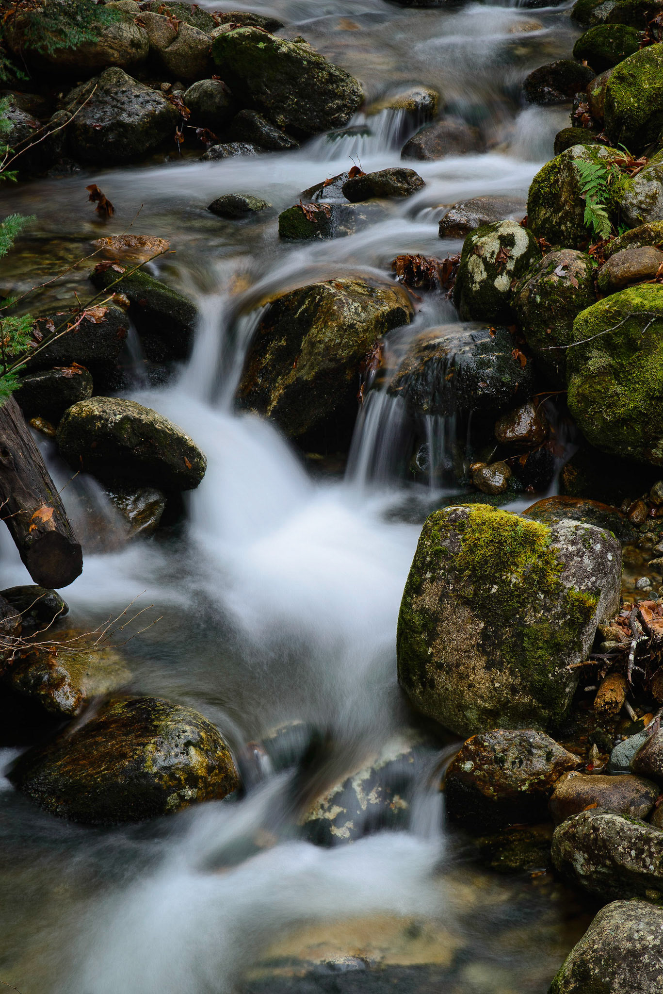 DTGD19009 Assaguam Brook, Mount Clinton Road