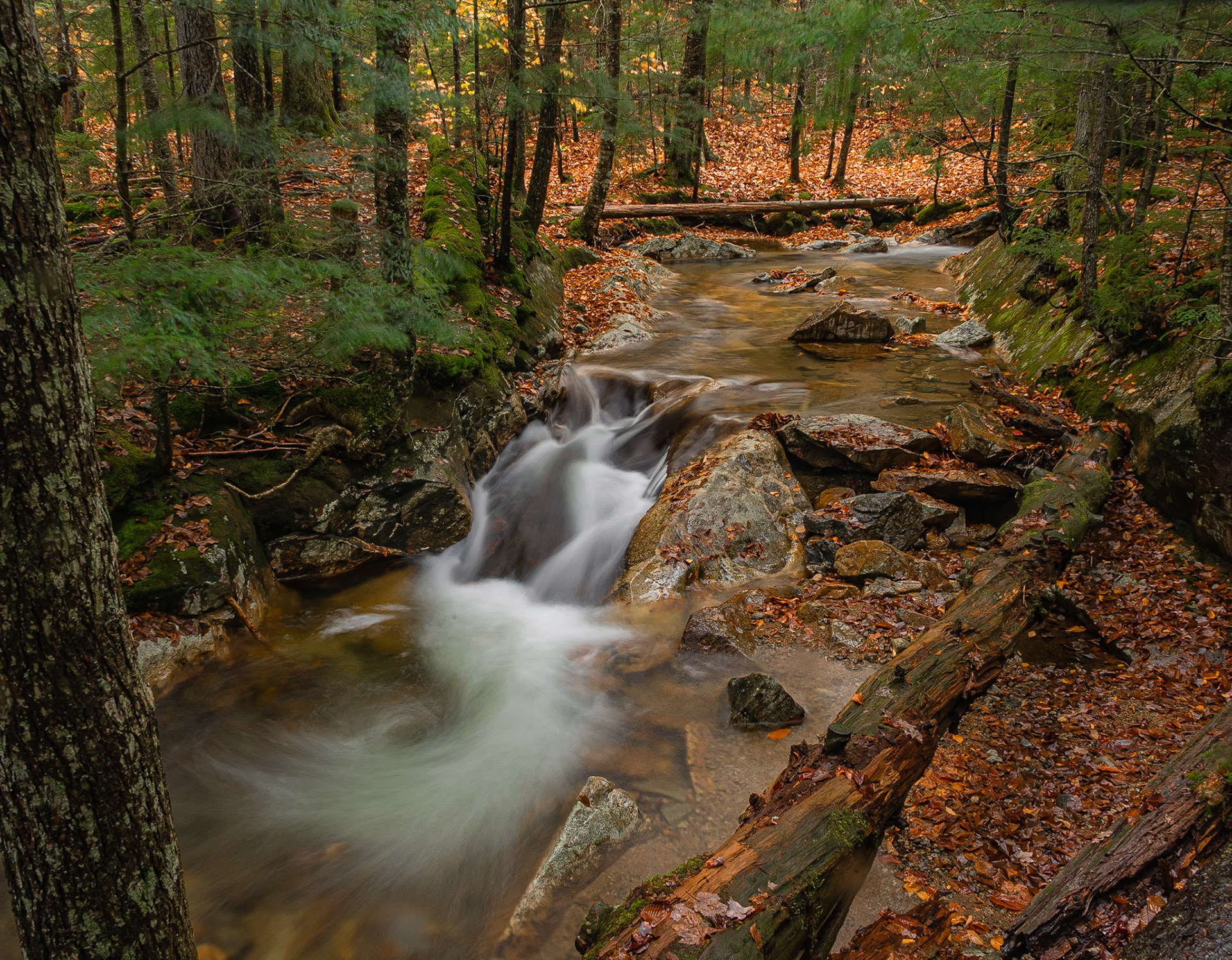 DTGD35009 Part of the Basin