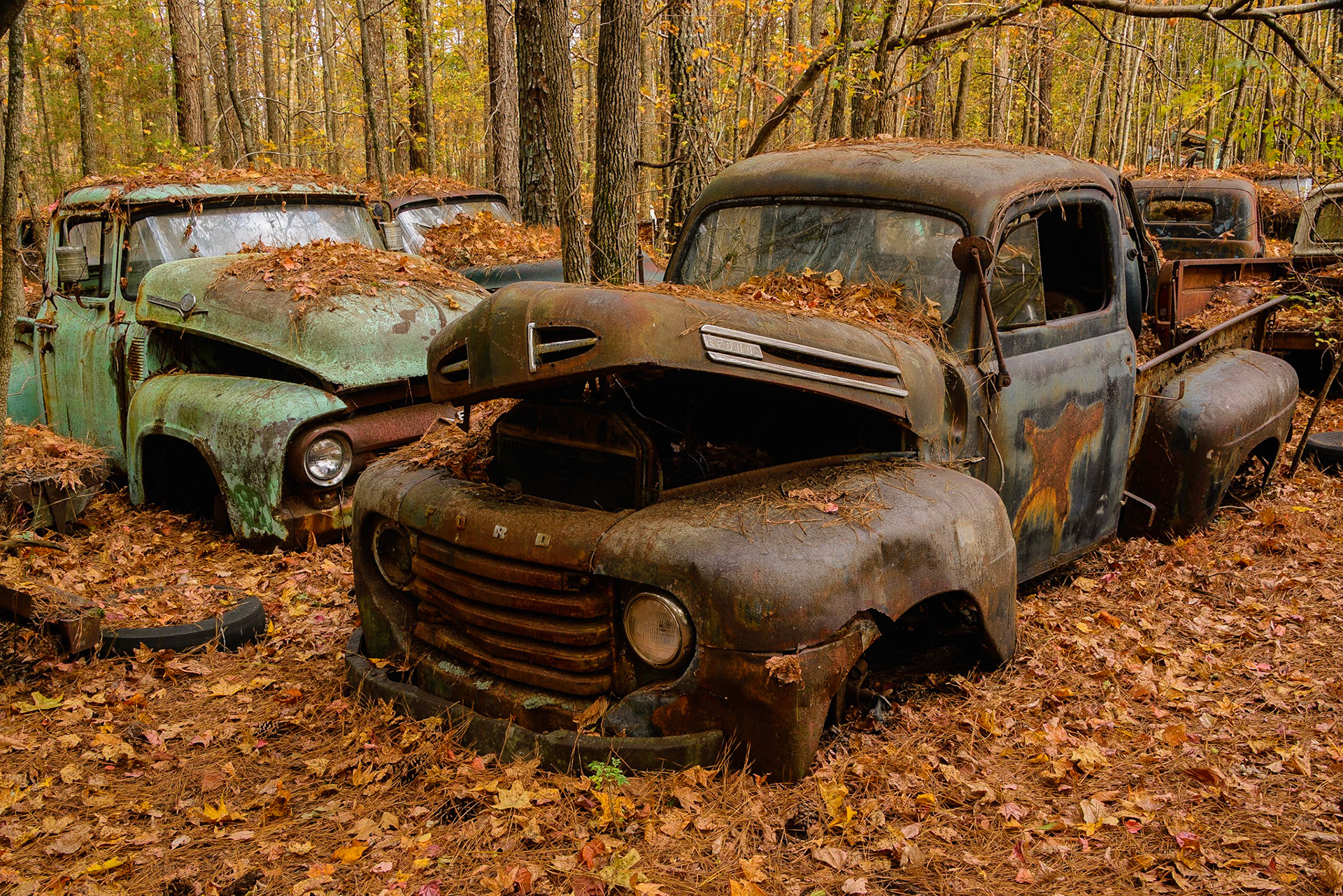 DTGD25817-Old Ford