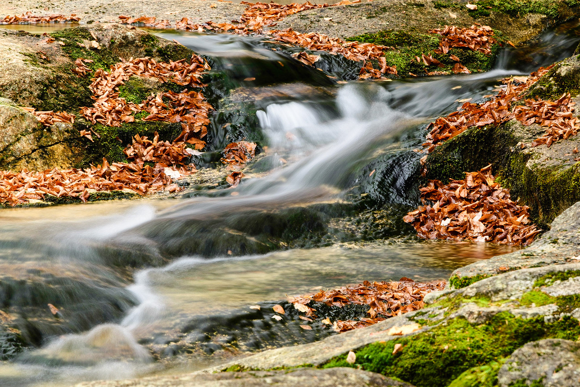 DTGD26960 Ammonoosuc River