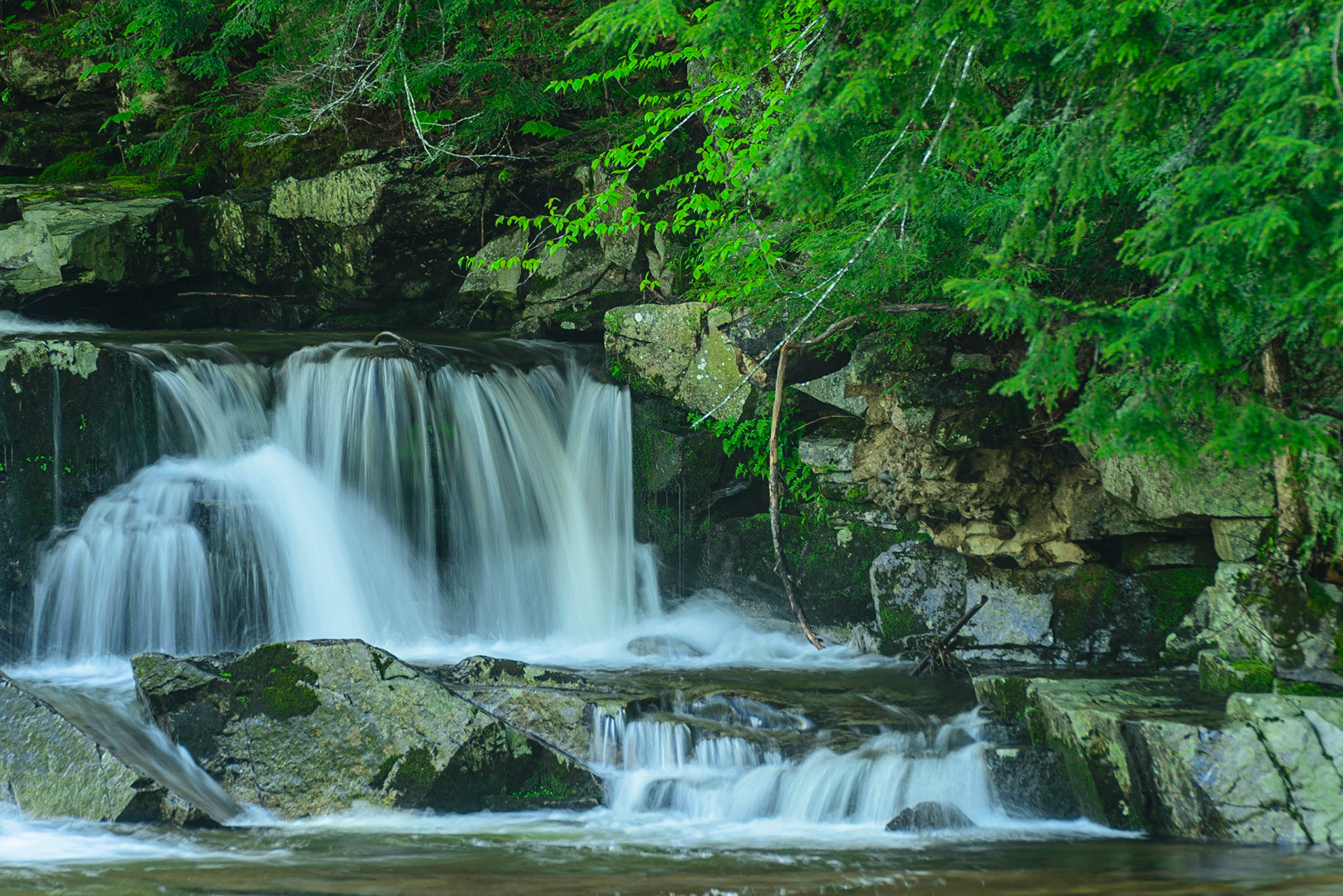 DTGD15197 Part of Jackson Falls, Spring