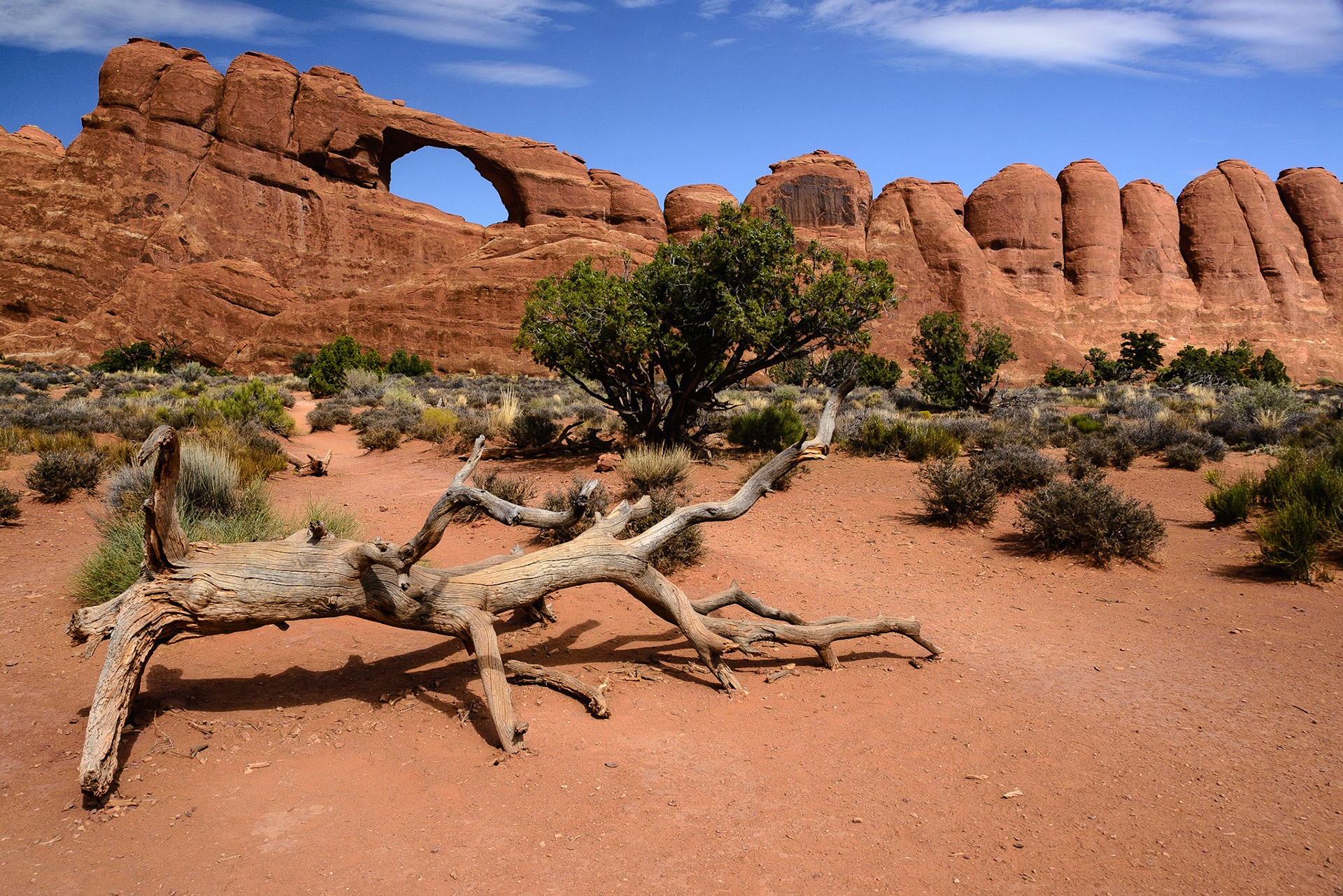 DTGD21573 Skyline Arch in Arches National Park.