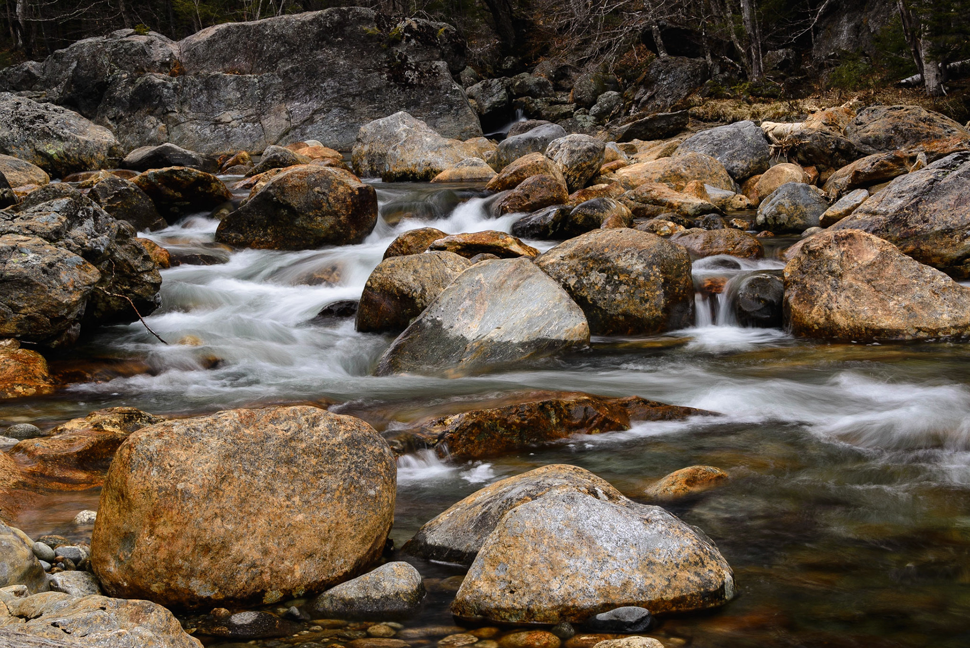 DTGD23469 Ellis River