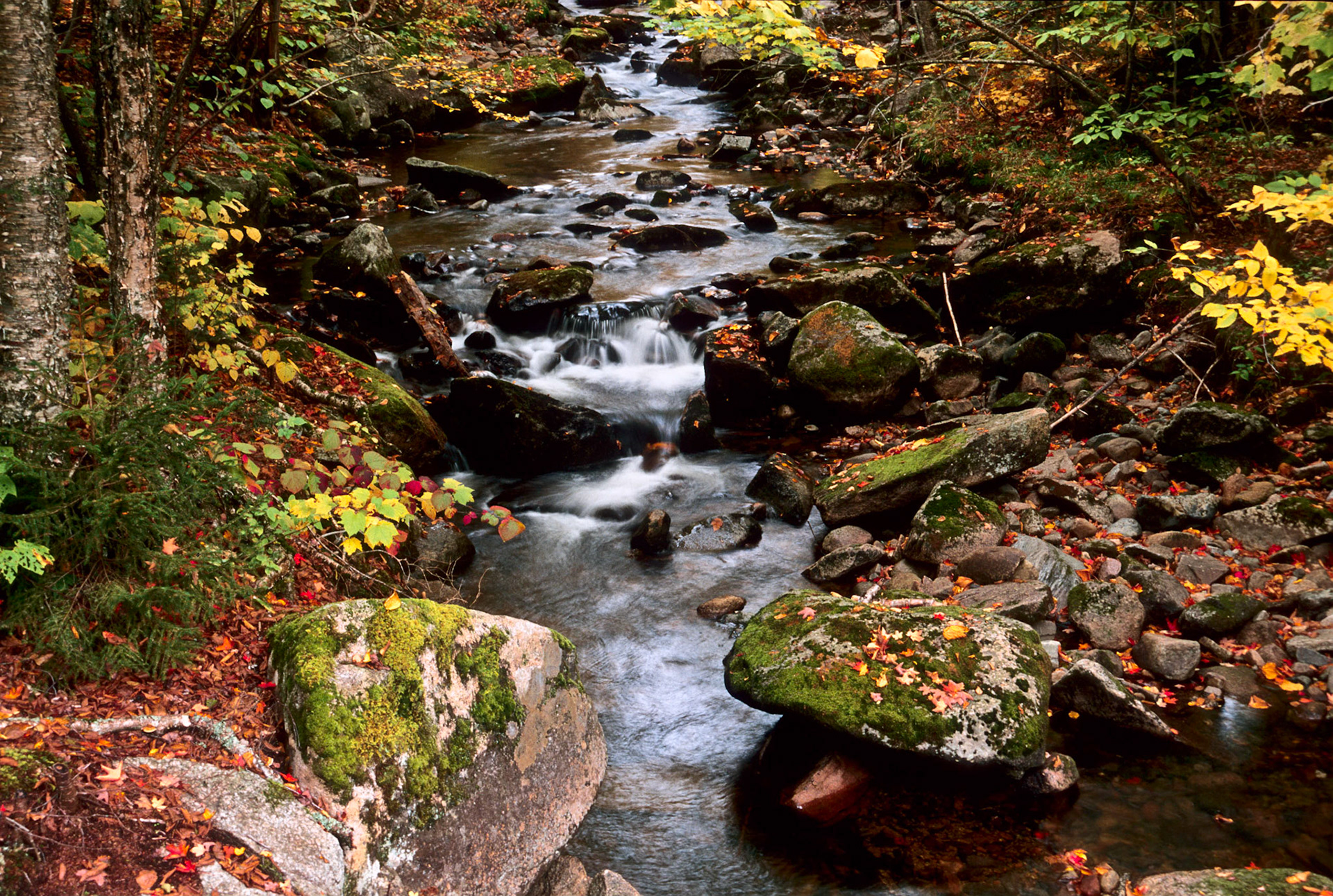 DTG00108 Keenan Brook New Scan