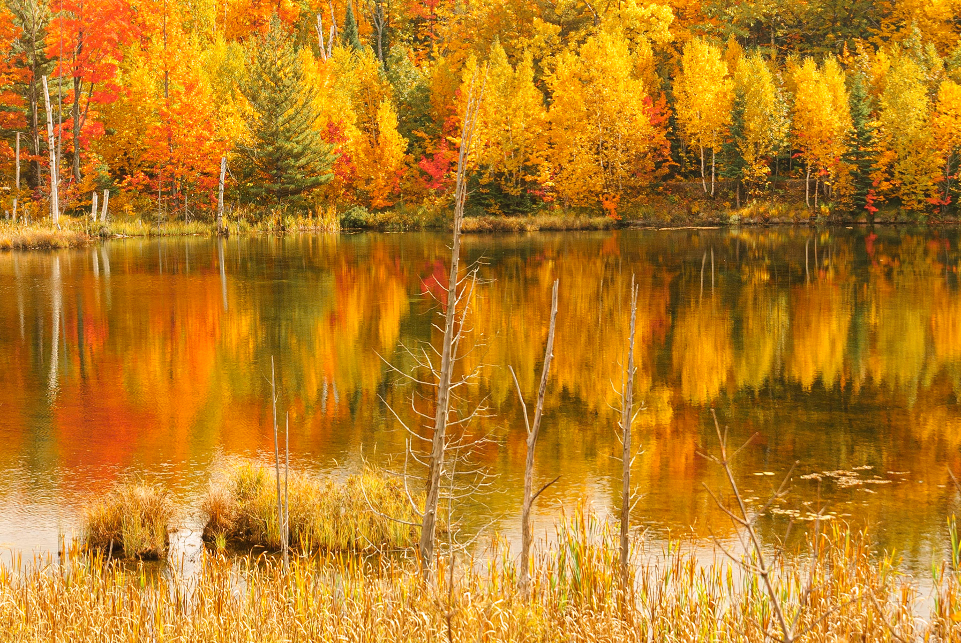 DTGD12907 Fall Reflections, MI
