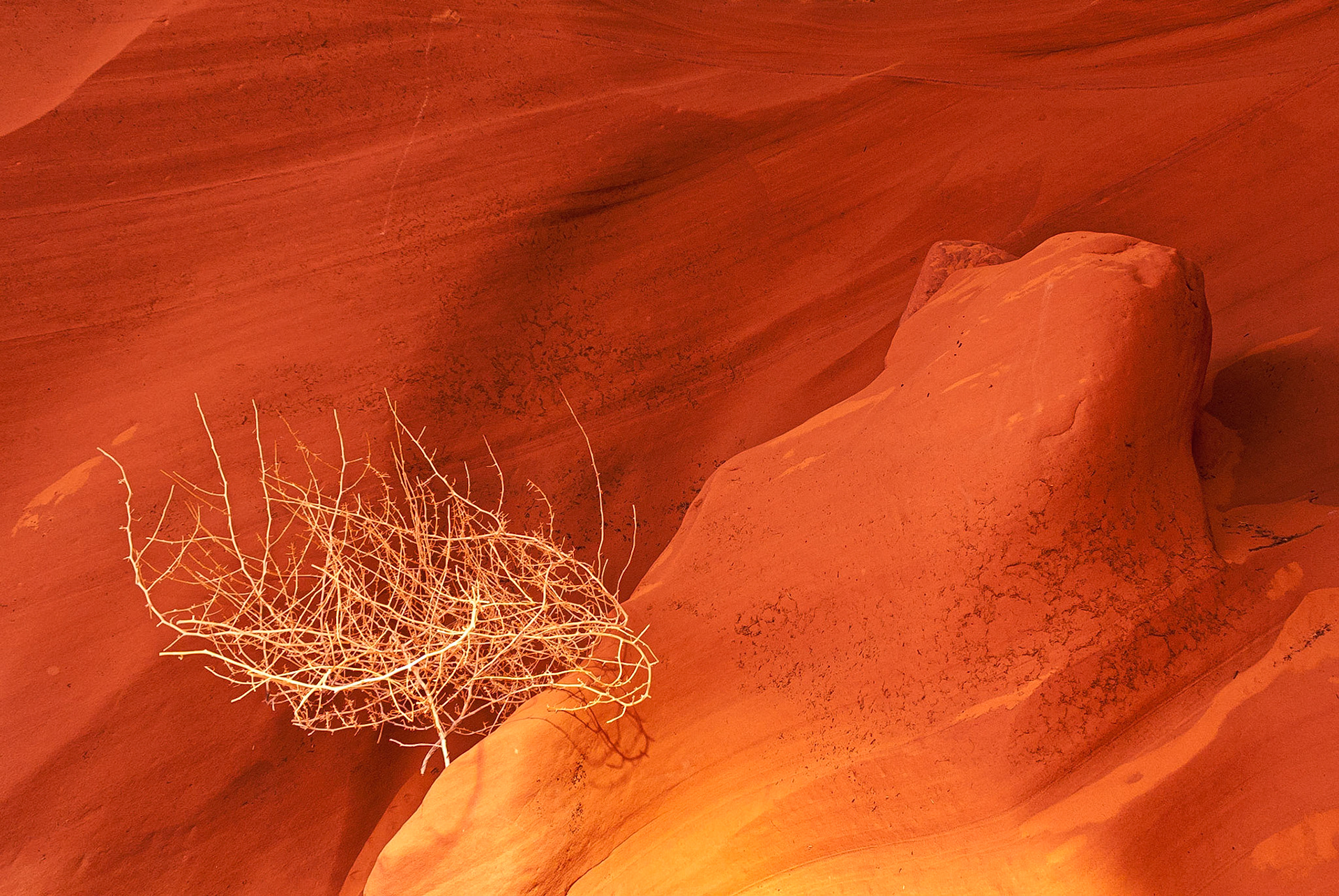 DTGD11597 Canyon X, Page, AZ