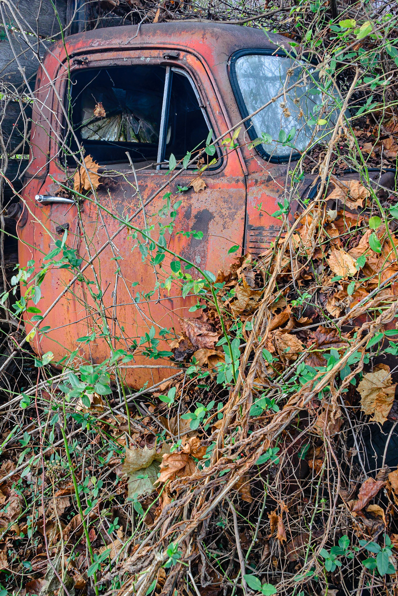 DTGD25677-Old Chevy Truck
