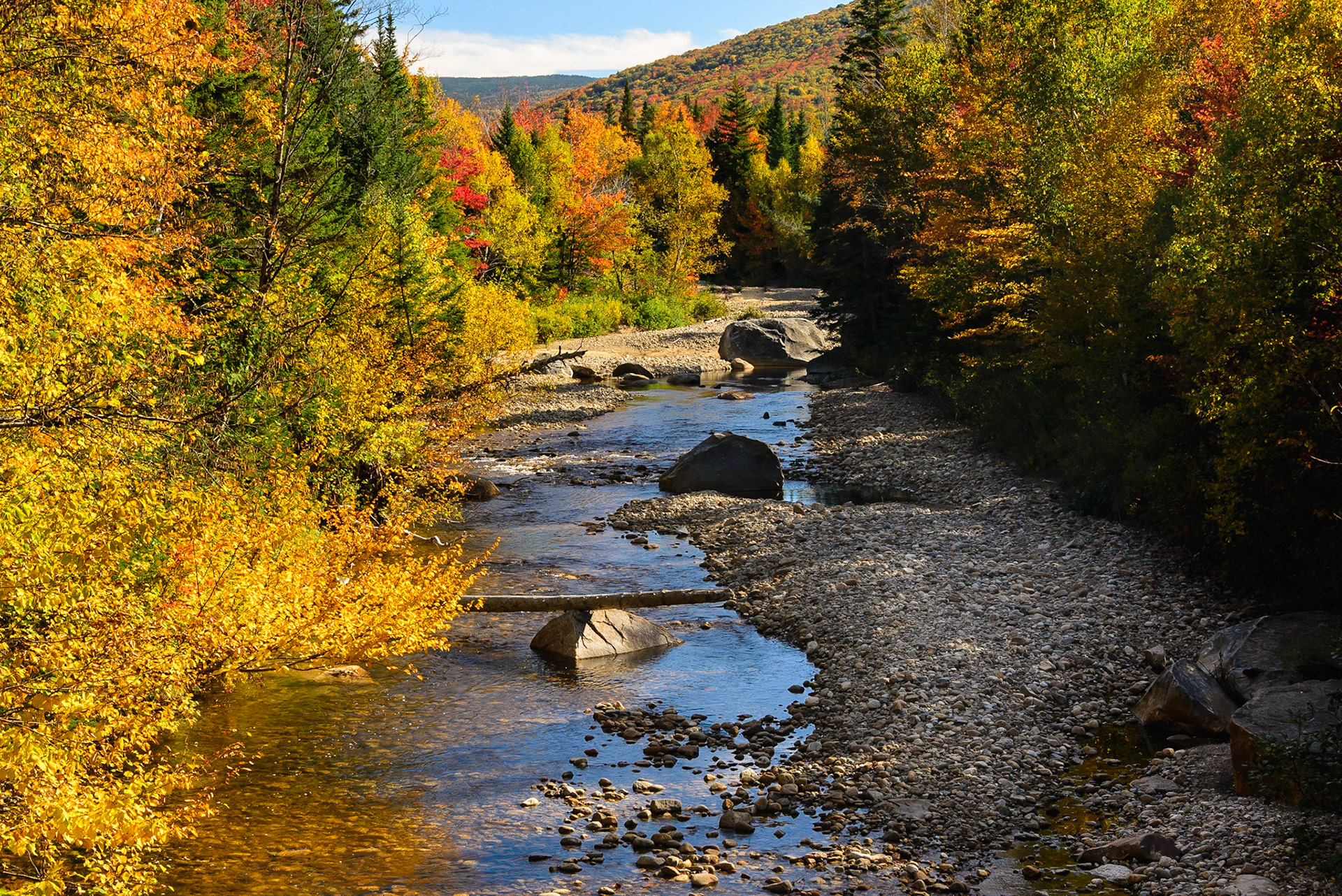 DTGD29746 Swift River