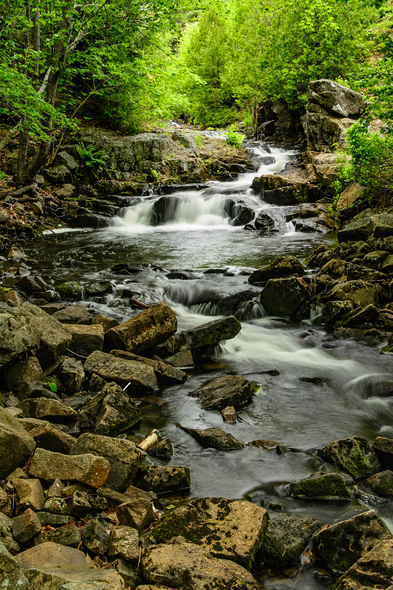 DTGD24265 Duck Brook, Aadia Nat'l Park, ME