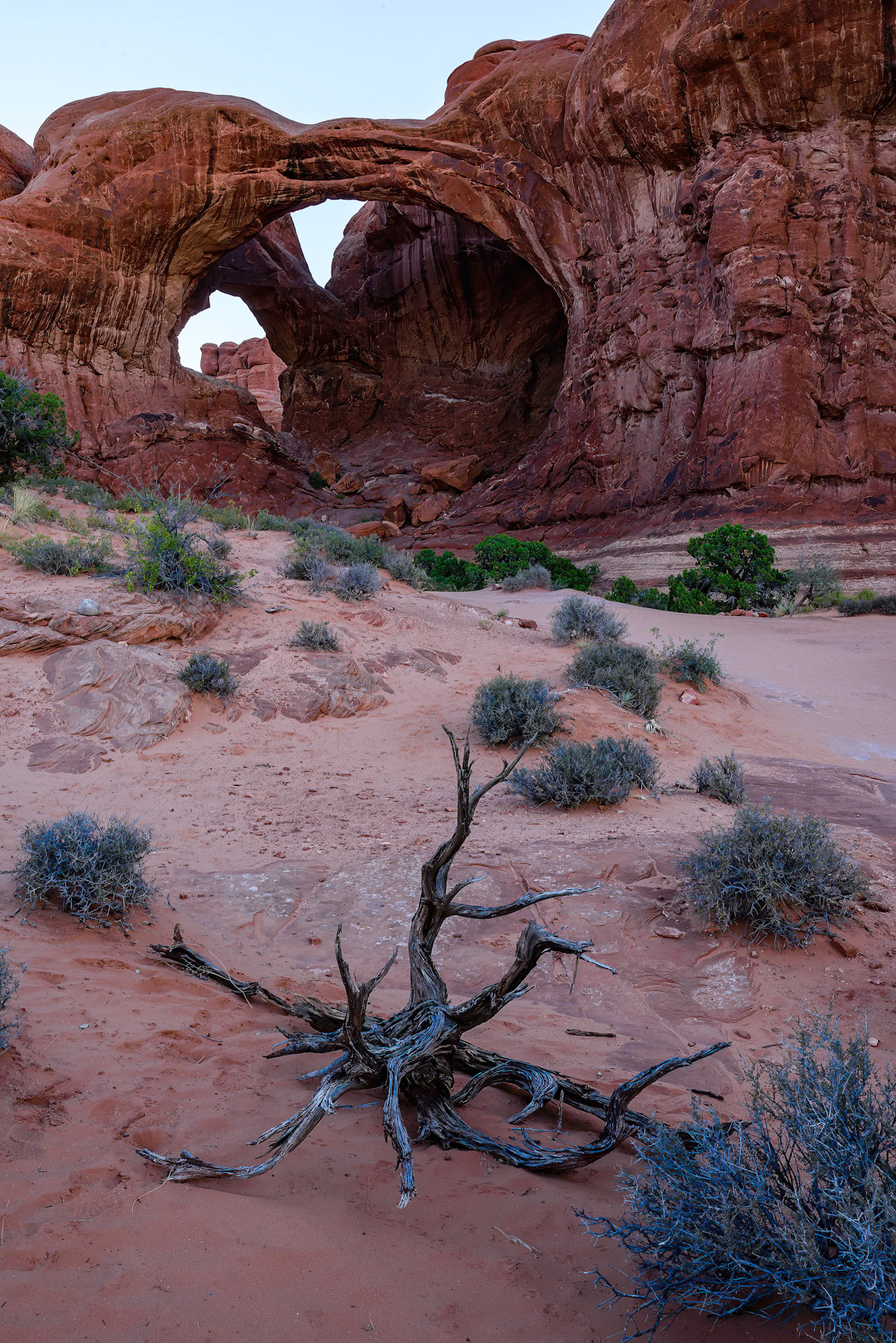DTGD21703 Double Arch