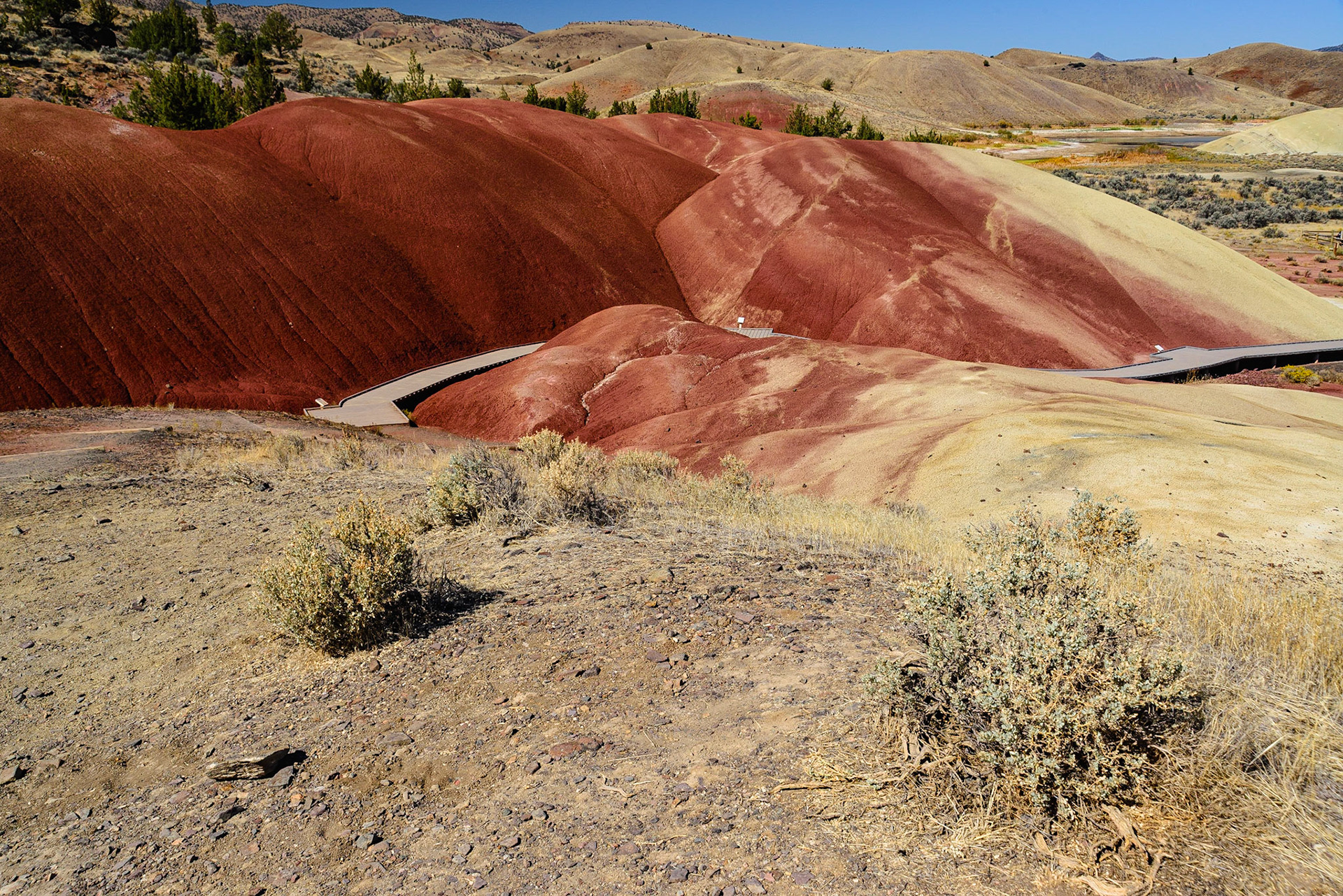 DTGD21318The Painted Hills, Wheeler County OR.