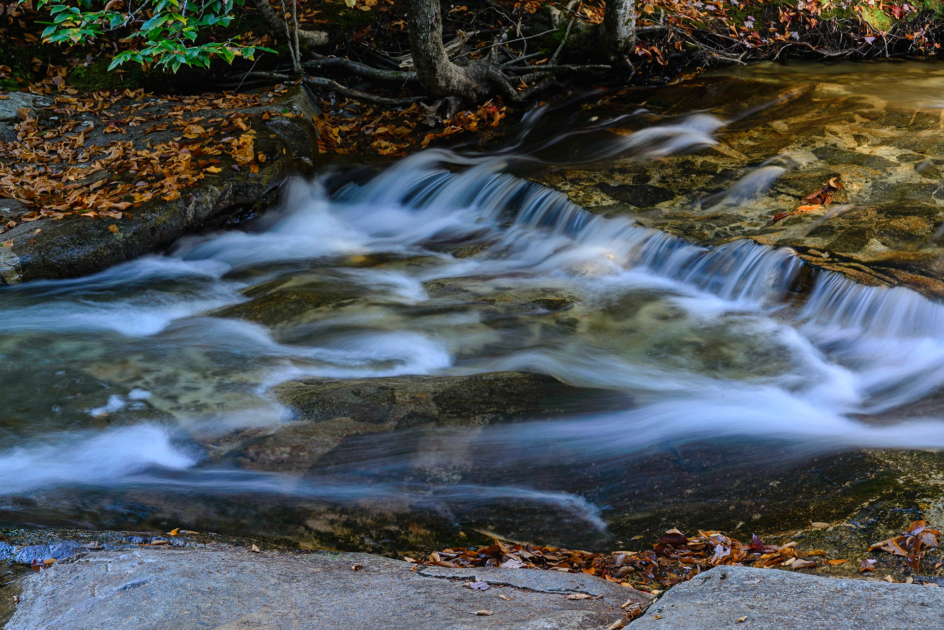 DTGD18561 The Basin, along the Pemi