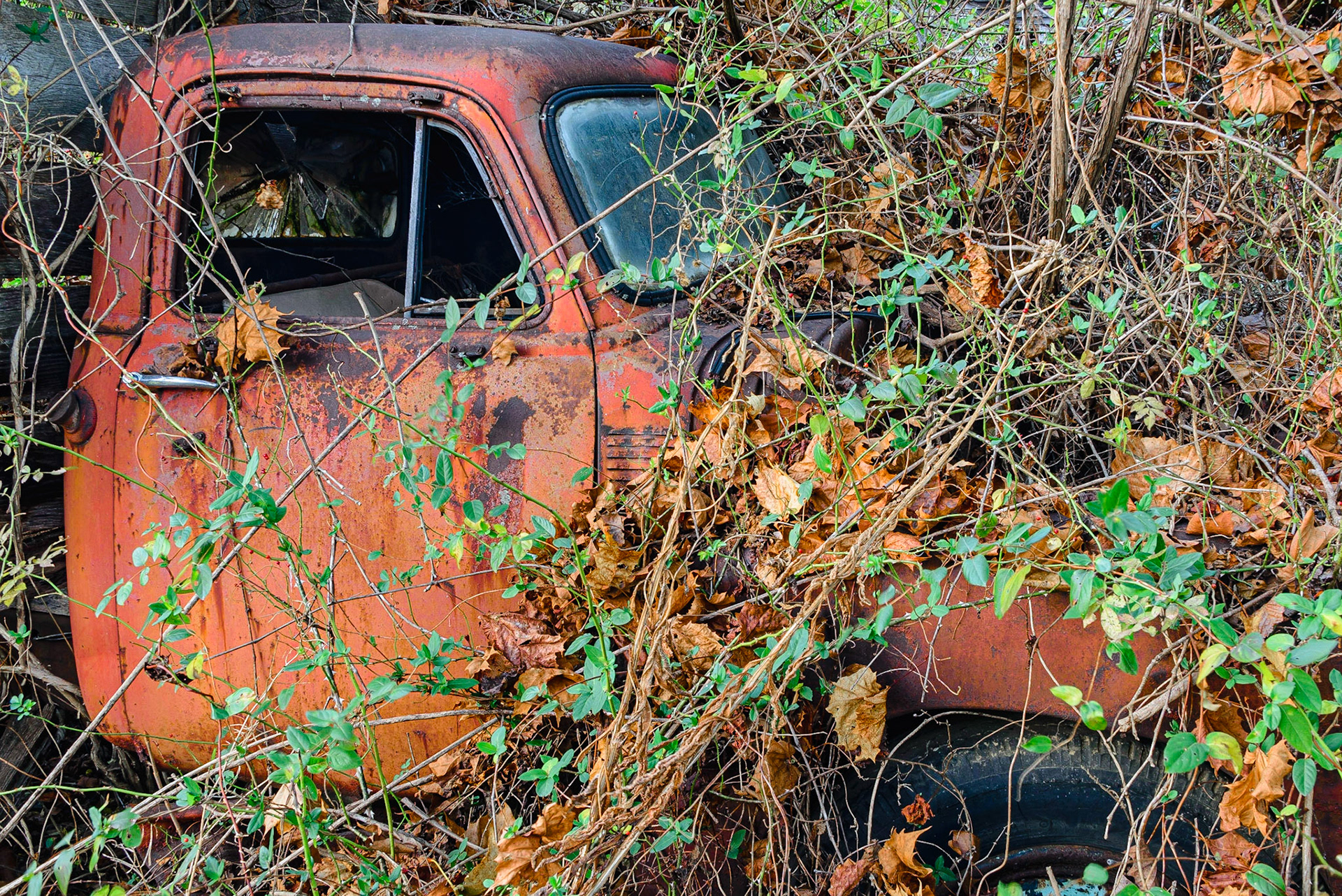 DTGD25675-Old Chevy Truck