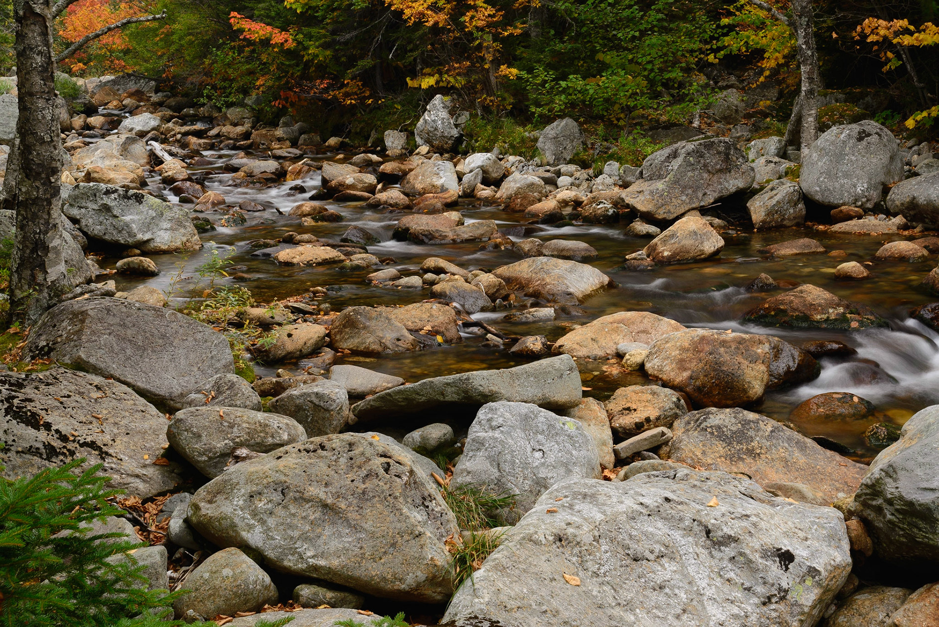 DTGD18406 Ellis River in Fall, 2014, low water this year