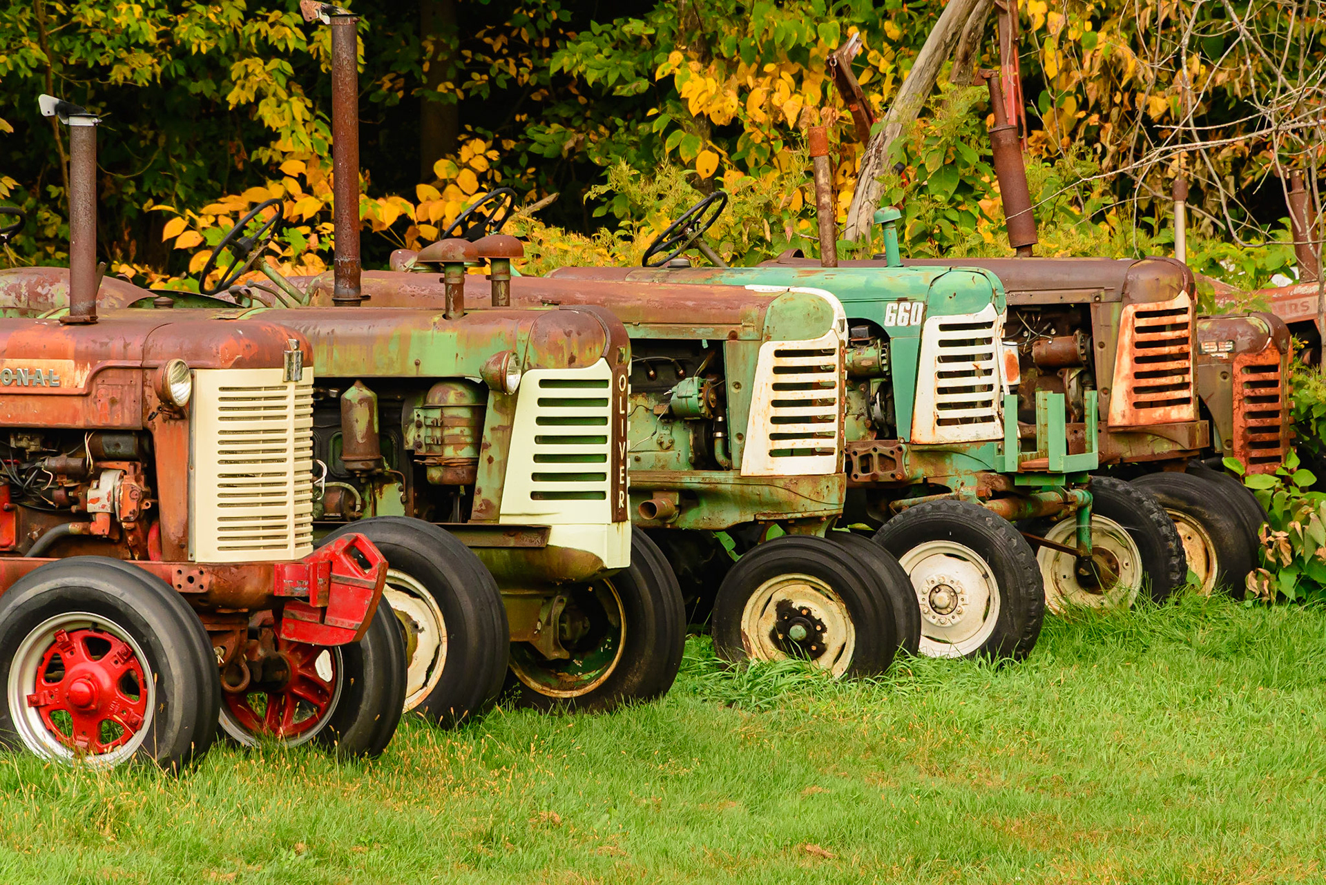 DTGD33577-Old Tractors