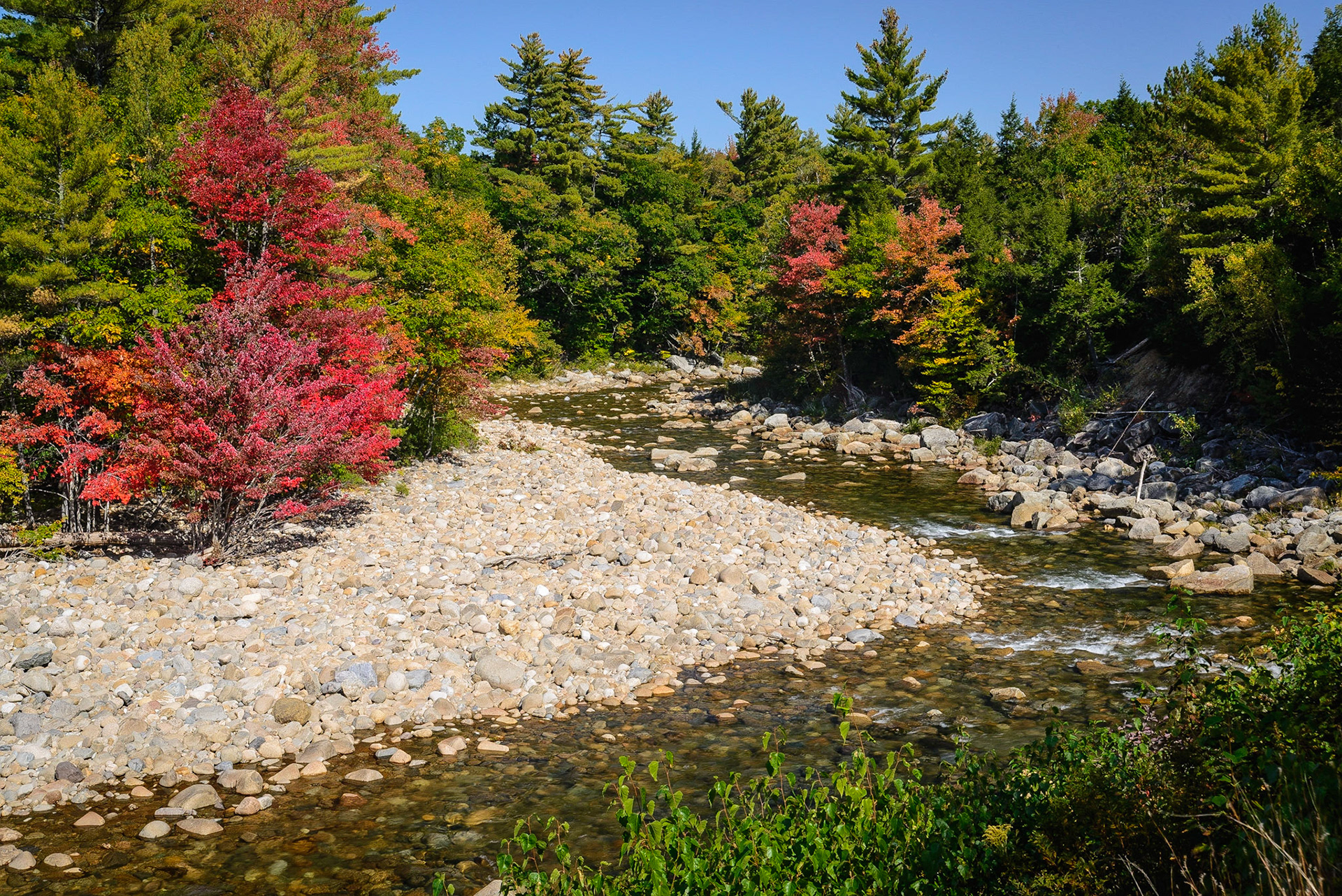 DTGD18336 Swift River Color, 2014