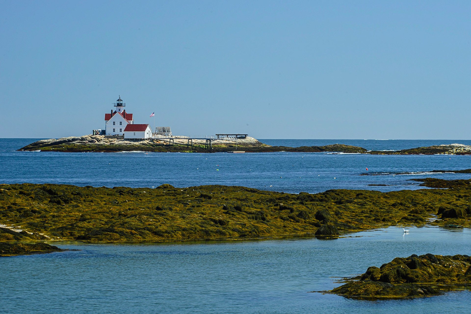 DTGD14928 Cuckolds Lighthouse, Boothbay, ME