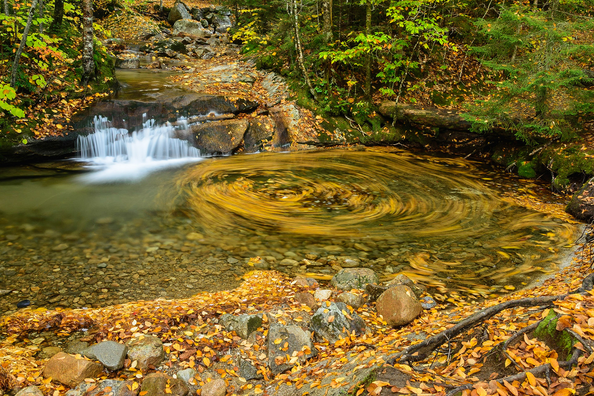 DTGD29791 Pemigewasset River