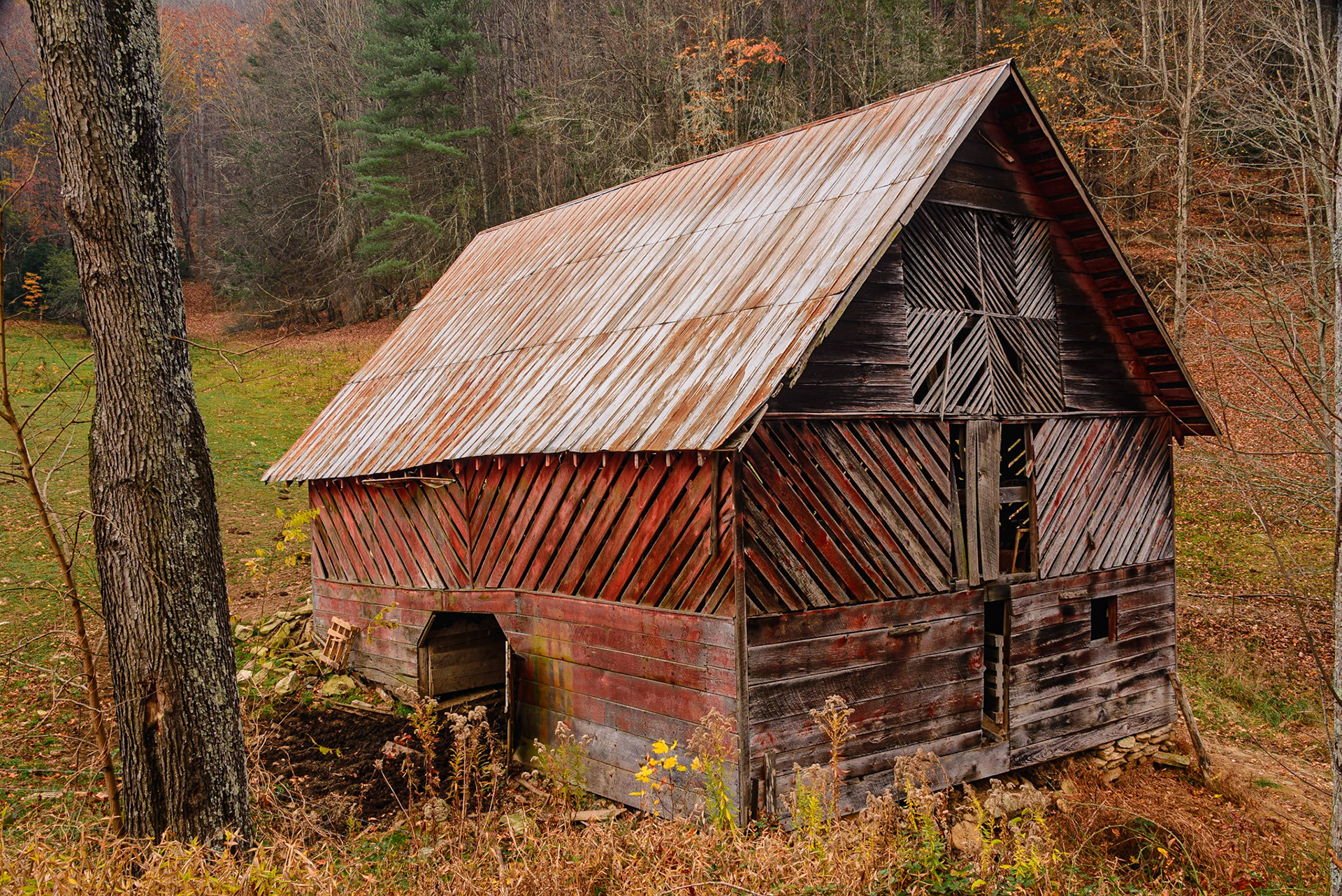 DTGD25530 Tom Brown Barn