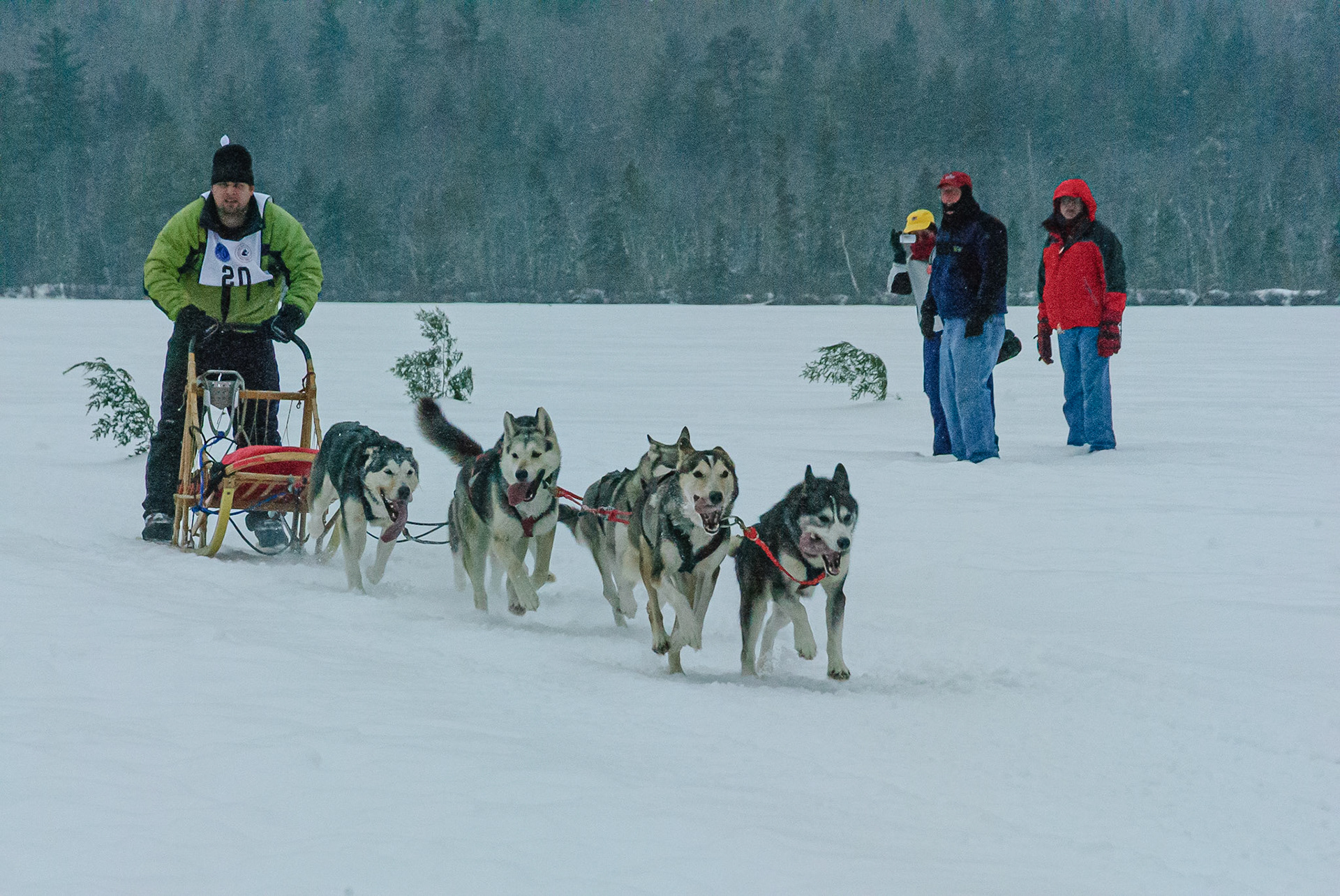 DTGD0132 Sled Dog Races, 2008