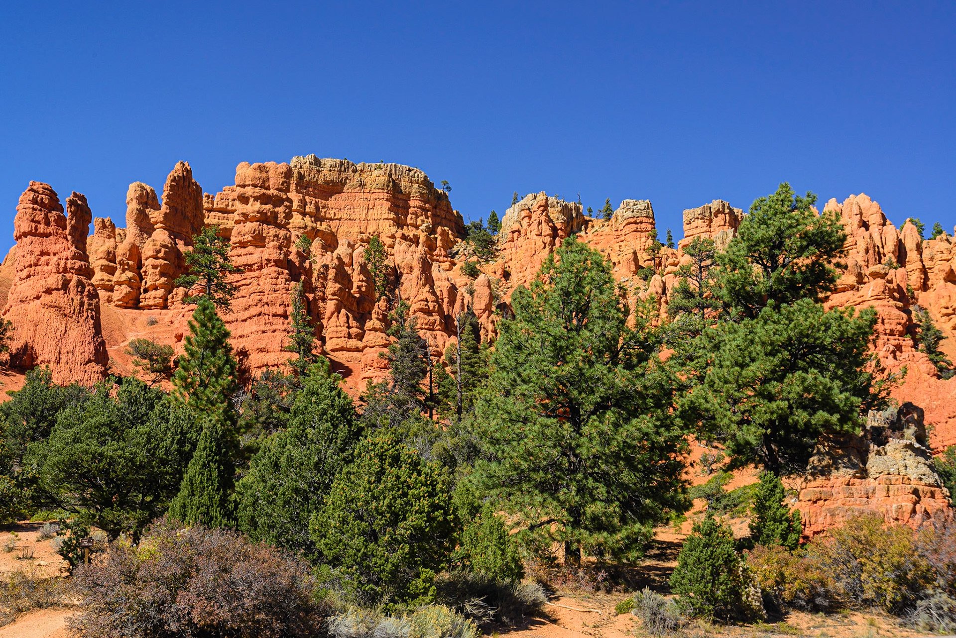 DTGD22187 Red Canyon