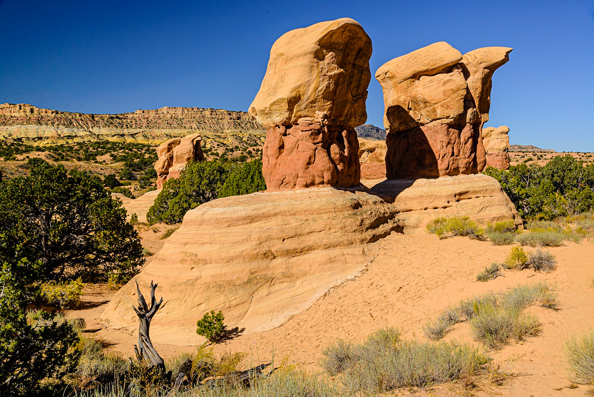DTGD22037 Devils Garden Hoodoos