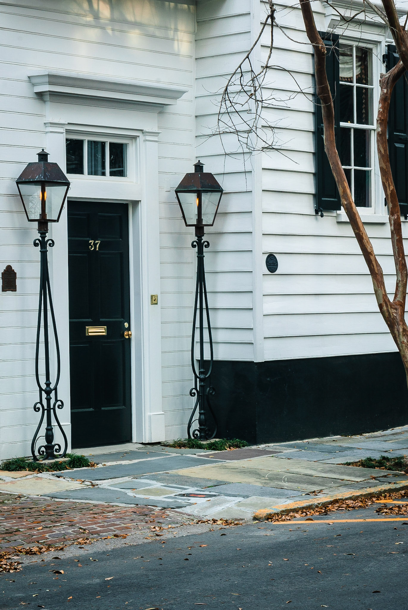 DTGD14519 Charleston Architecture in The Battery