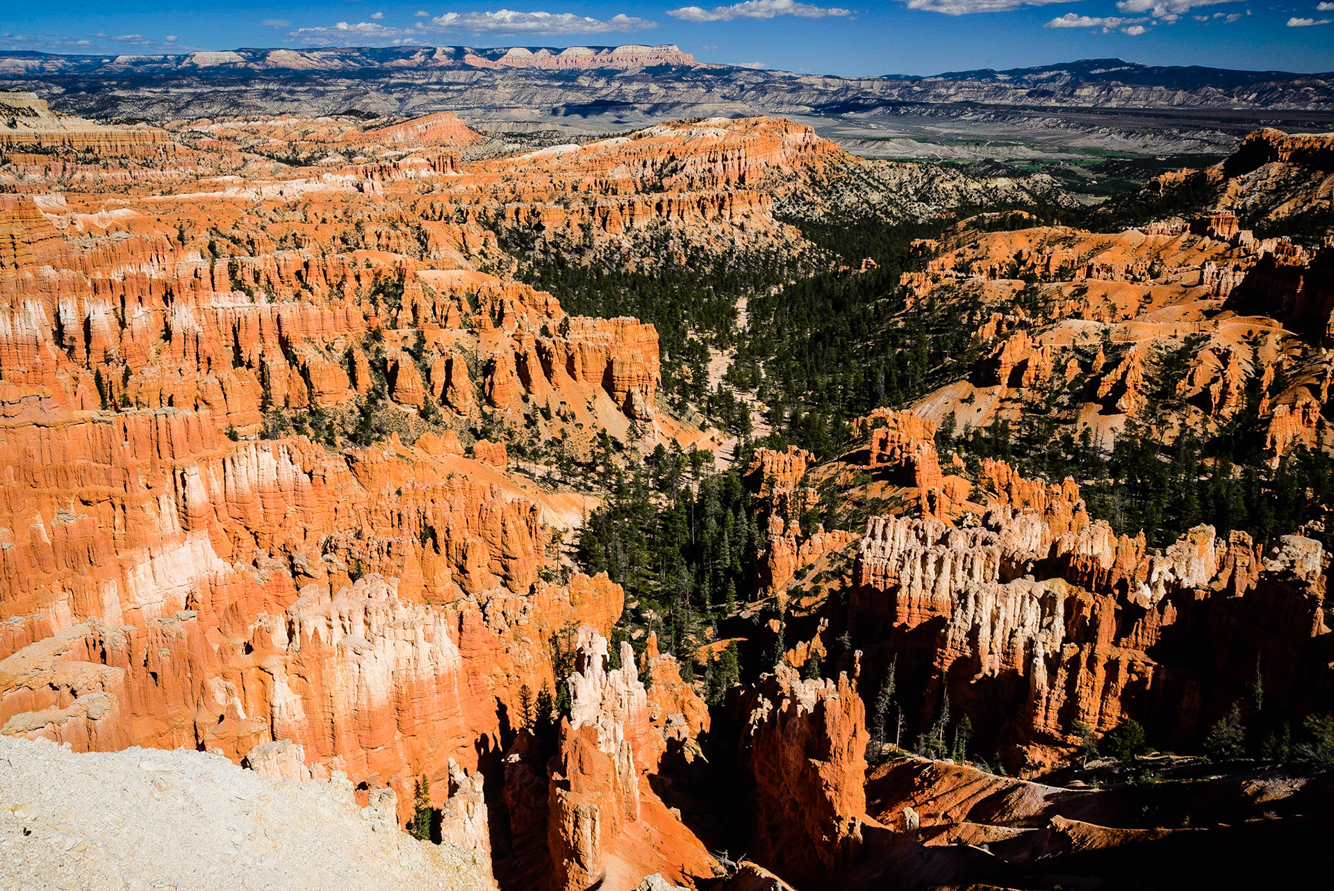 DTGD22261 Afternoon Sun in Bryce