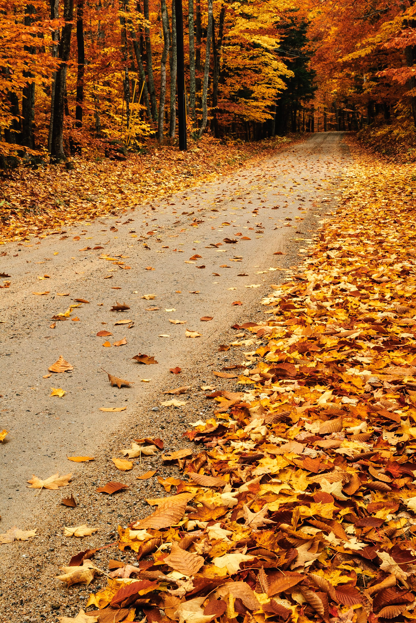 DTGD04159 Brown Hill Road in Fall, NH