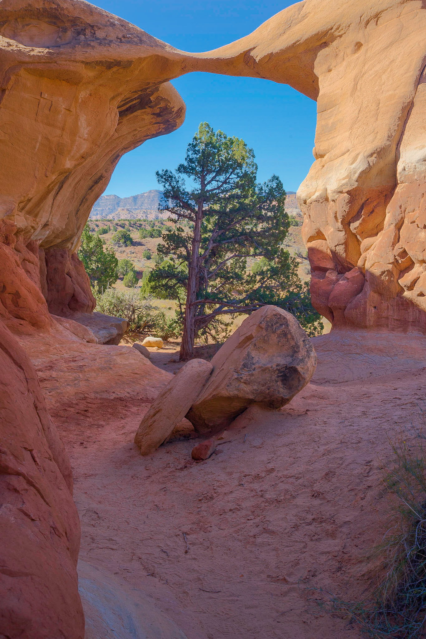 DTGD22040 Metate Arch, Devils Garden, UT