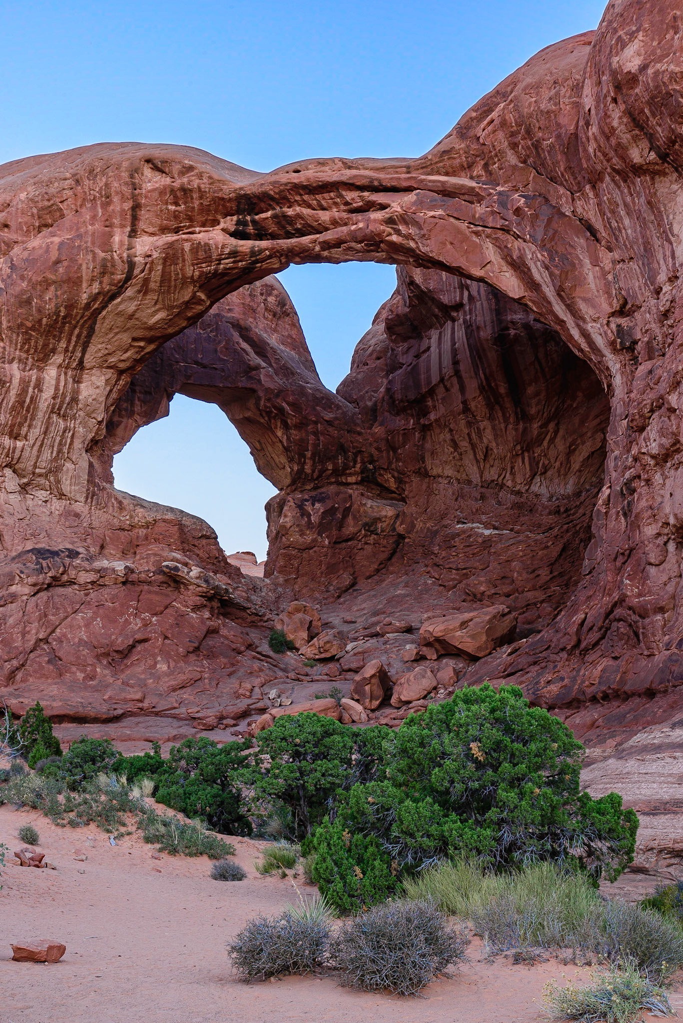 DTGD21694 Double Arch