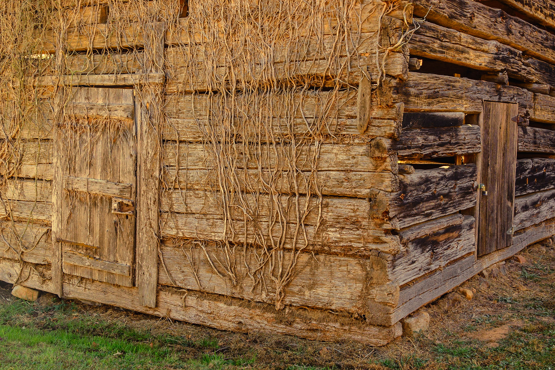 DTGD25436 D. Nelson Anderson Barns