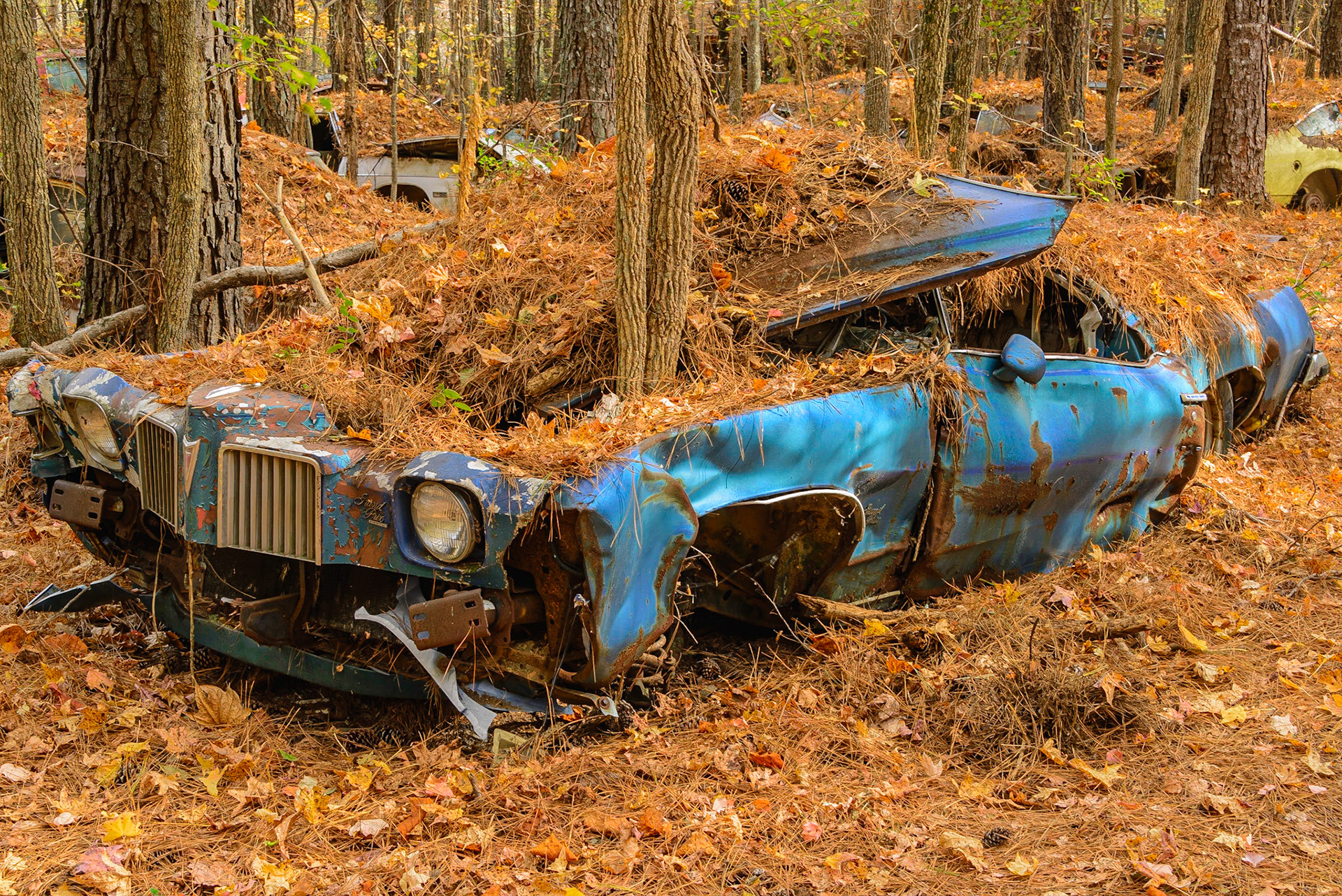 DTGD25733-Old Pontiac Grand Prix