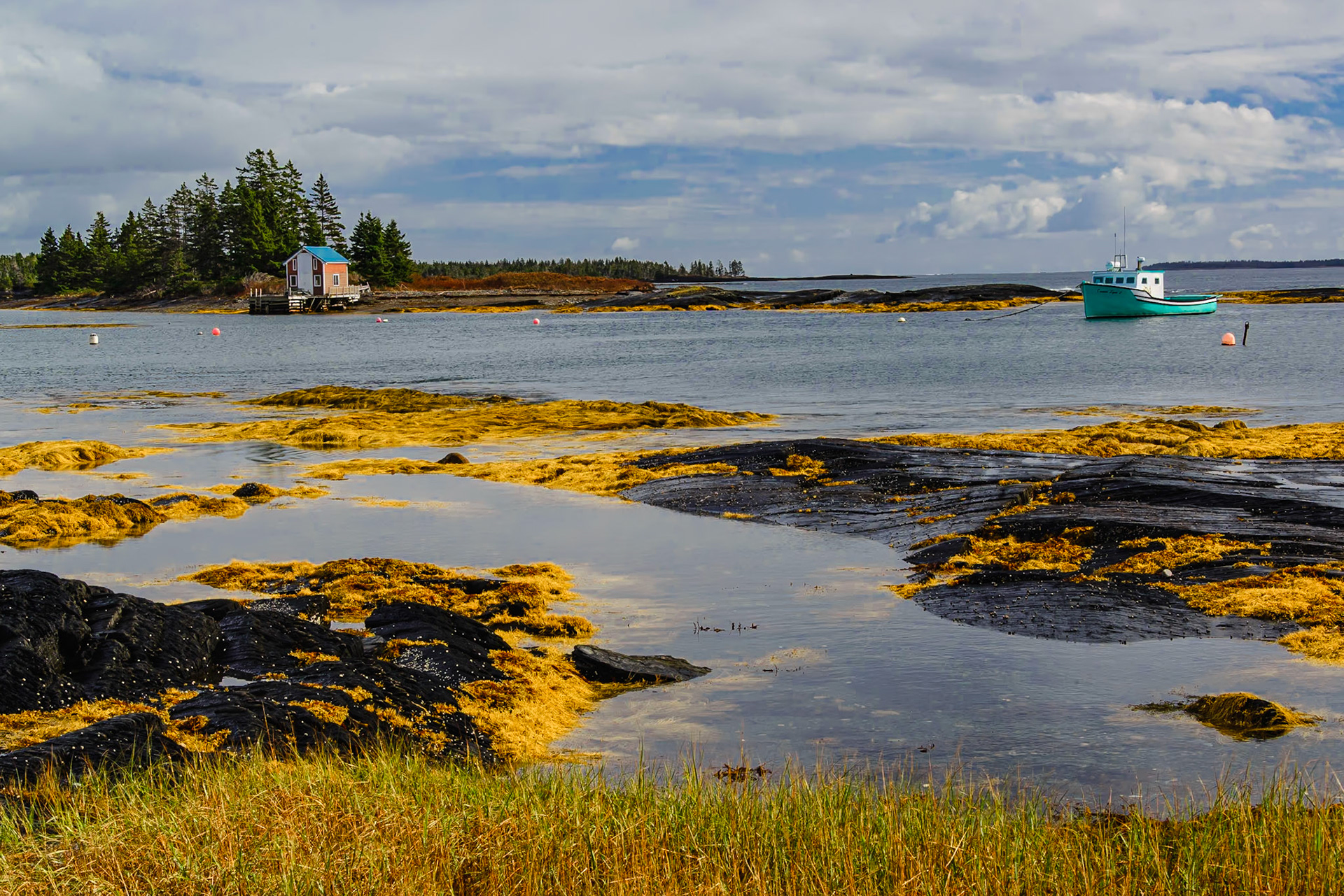 DTGD39217.-Blue Rocks