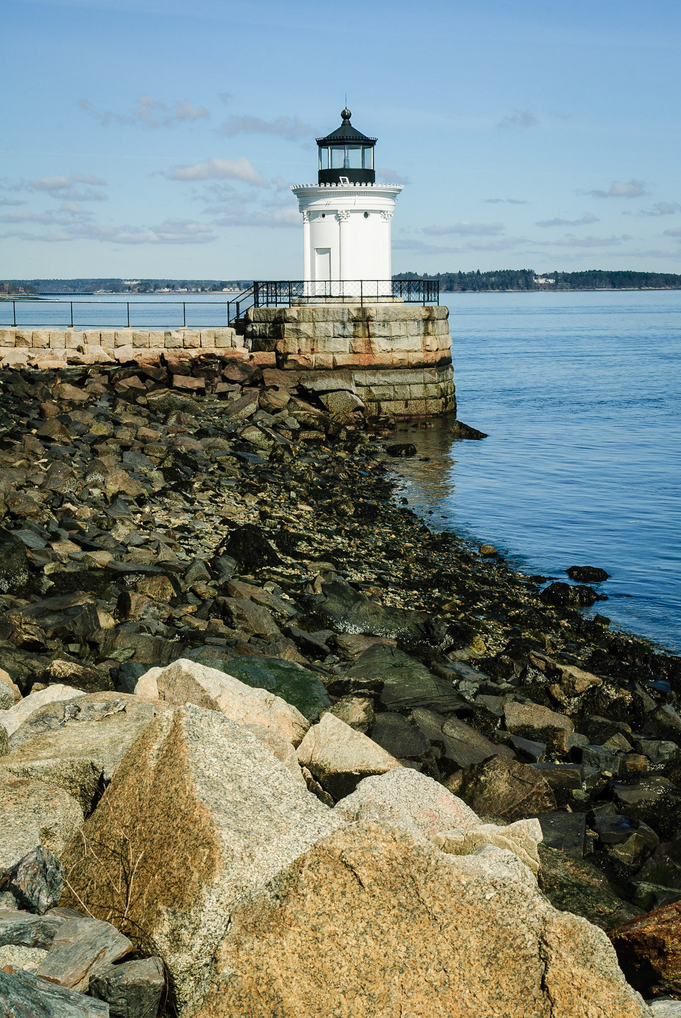 DTGD11828 Bug Light