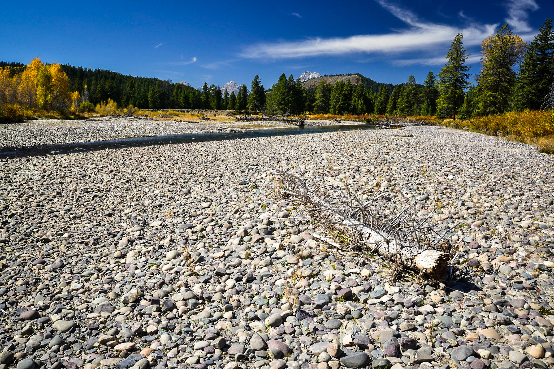 DTGD21258 Looking west toward Tetons from Pacific Creek
